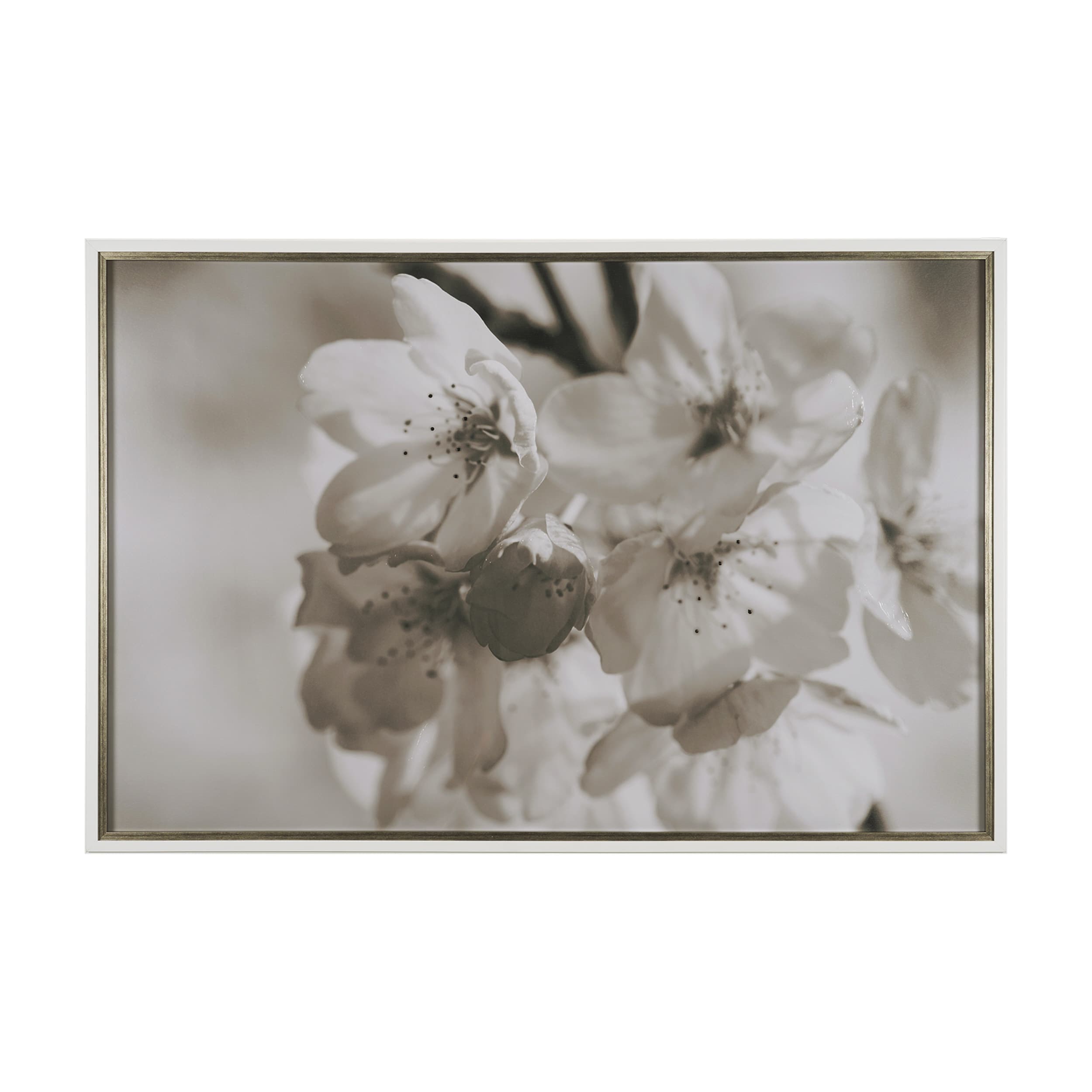 Soft Petals I by Nancy Crowell a Hand Embellished Textured Framed Photo Art Print Matted under Glass — product photograph