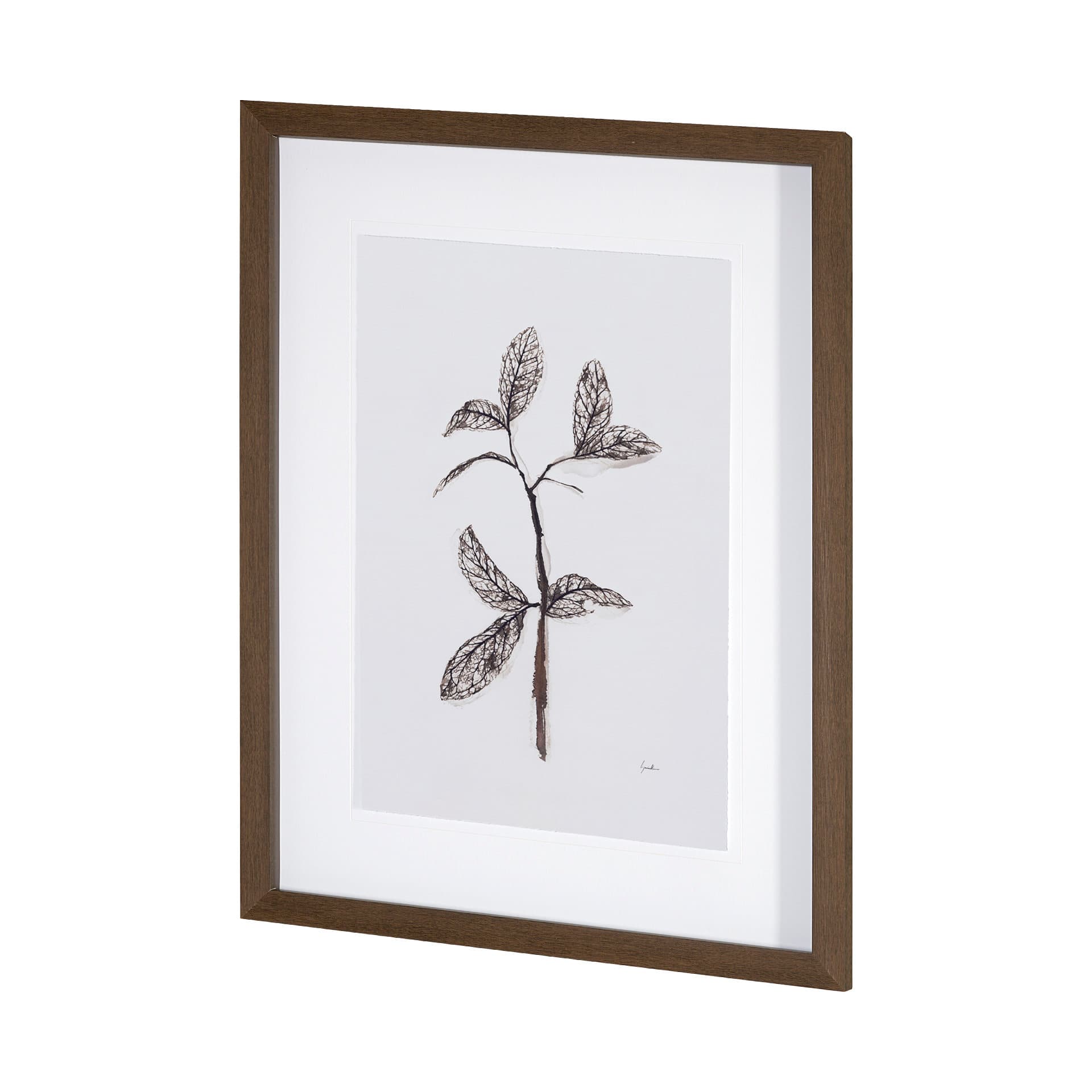 Olive Branch II by Gabrielle a Framed Art Print Matted under Glass — product photograph