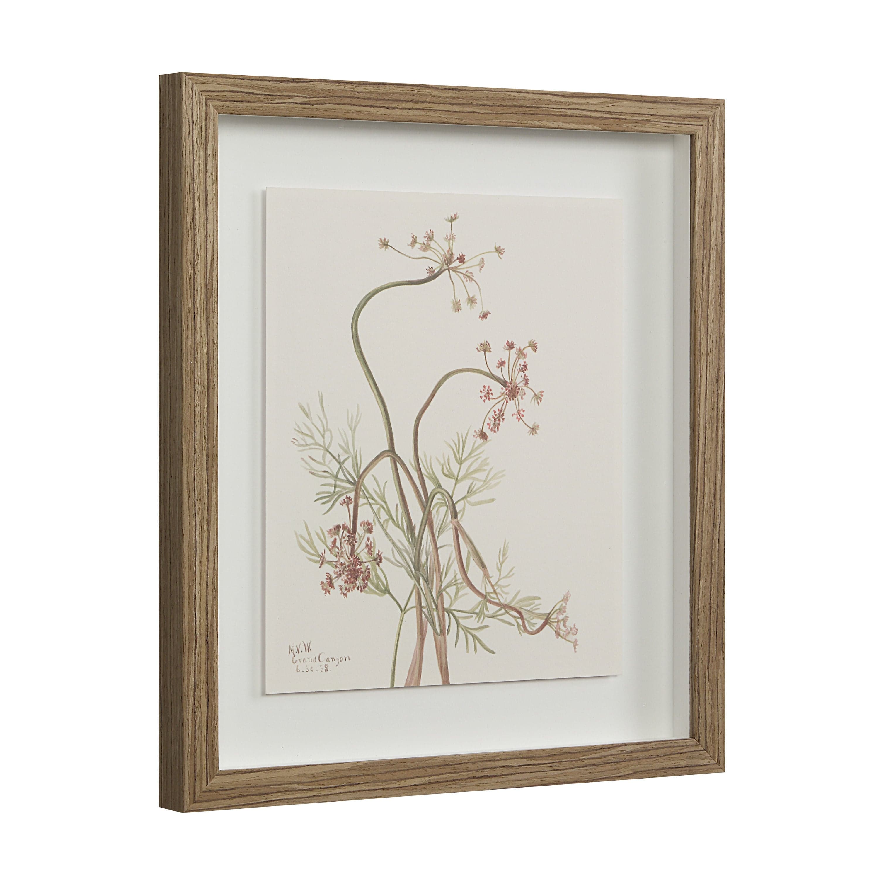 Crema — product photograph