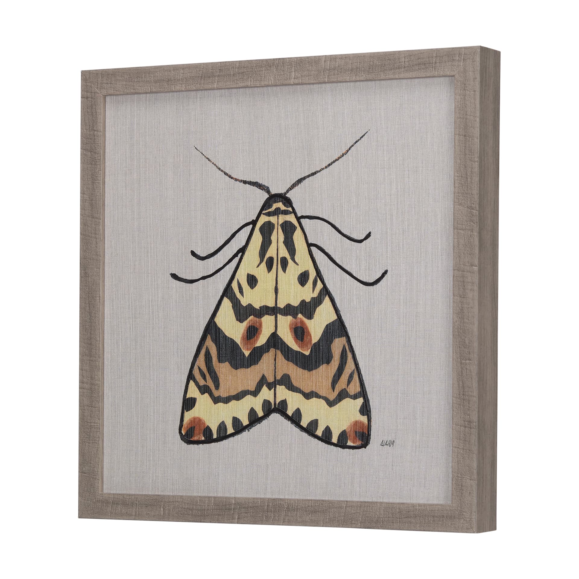 Moth III by Mercana Studio a Hand Embellished Textured Framed Art Print — product photograph