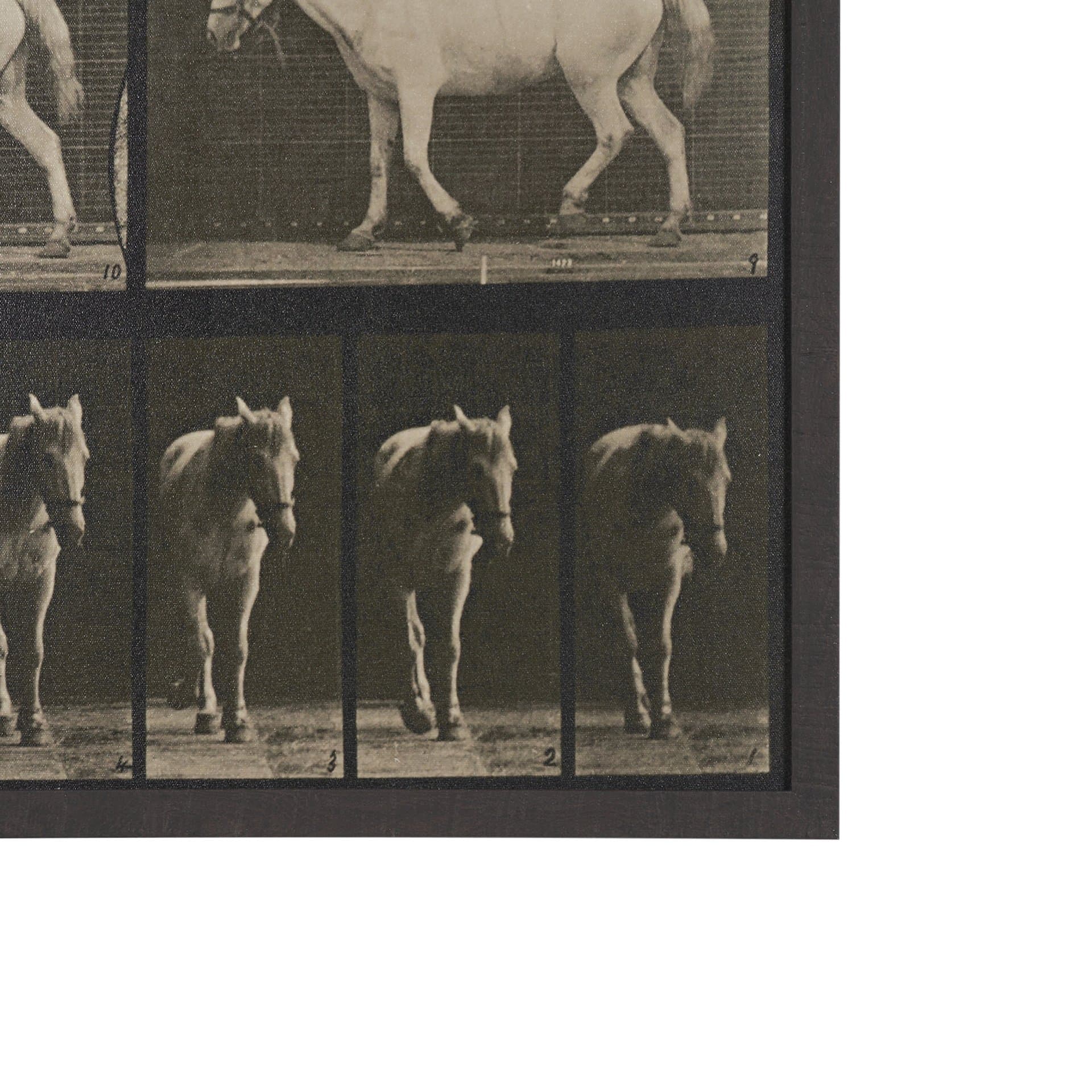 Walking Free by Eadweard Muybridge Textured Framed CanvasPhoto Print — product photograph