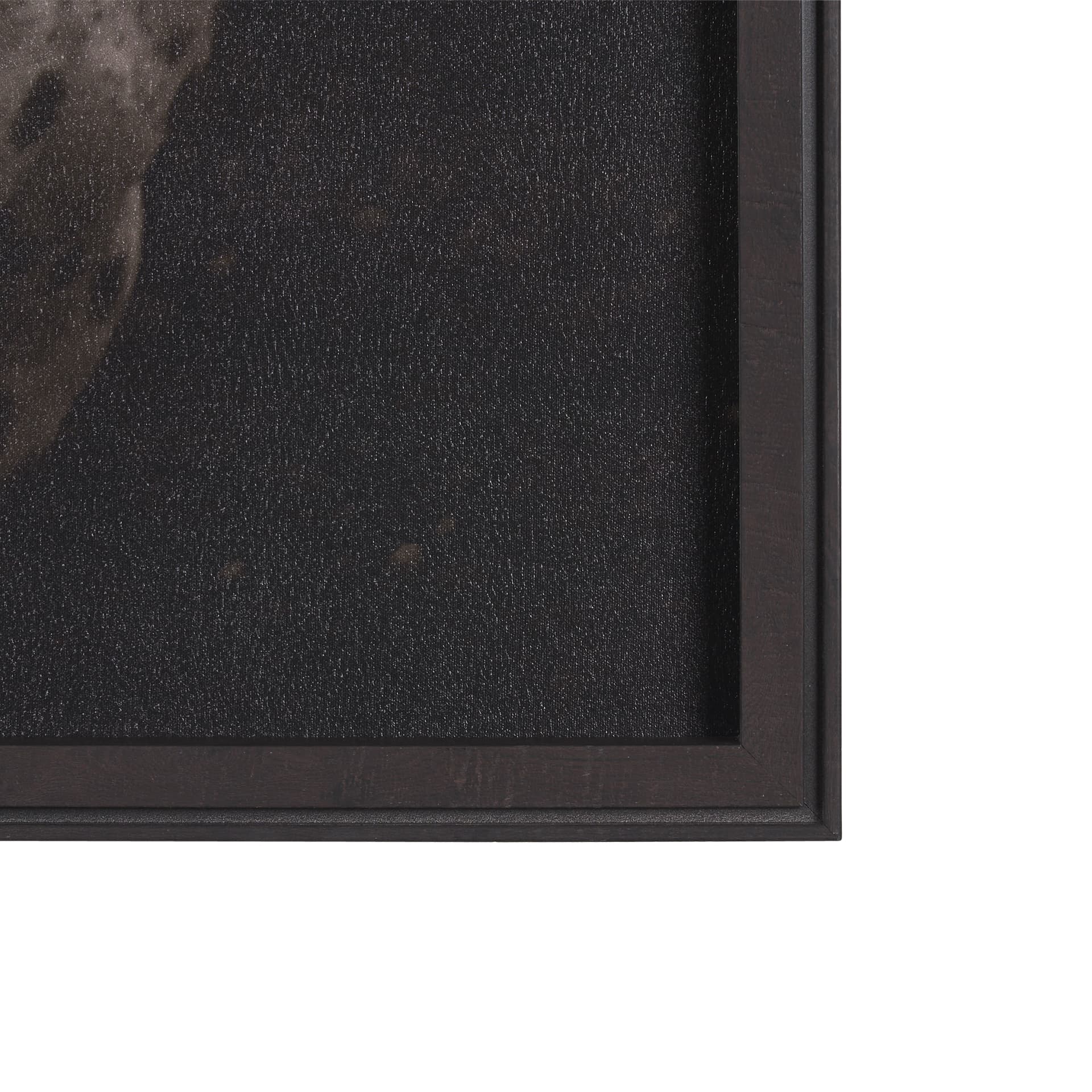 Spotted Solo Horse by Nathan Kane a Hand Embelished Textured Framed Photo Art Print — product photograph