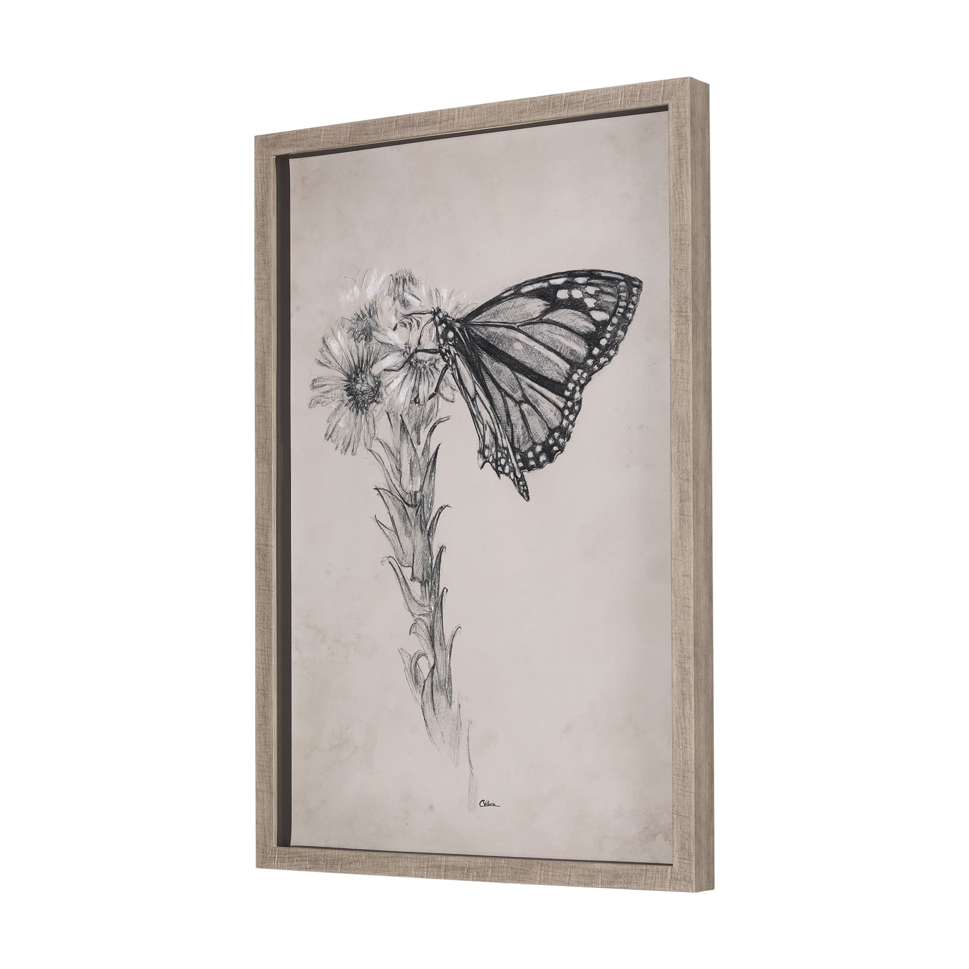 Wild Aster Monarch Butterfly III Mercana Studio Hand Embellished Framed Art Print Matted under Glass — product photograph