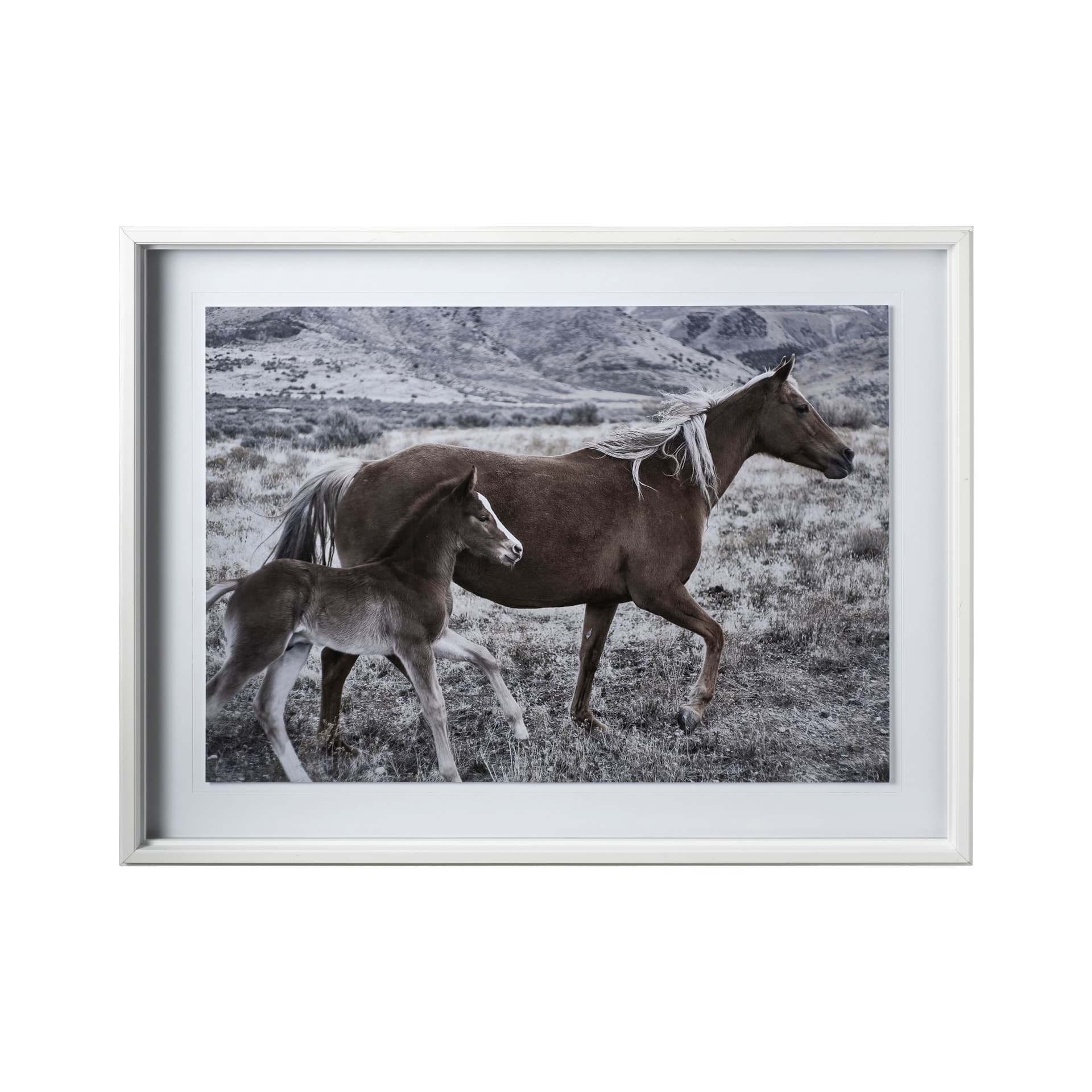 Horse 2 by Dunker a Framed Photo Art Print Matted under Glass — product photograph