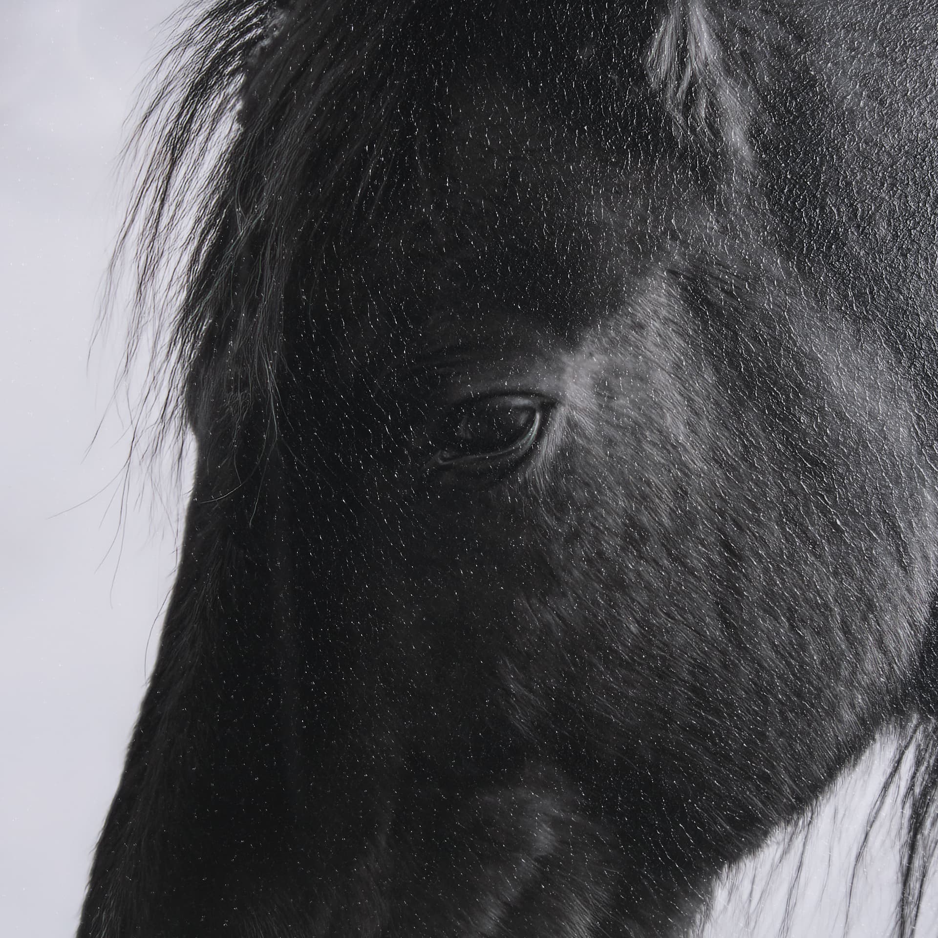 Wander by Chad Mackay a Hand Embellished Textured Framed Photo Art Print Matted under Glass — product photograph