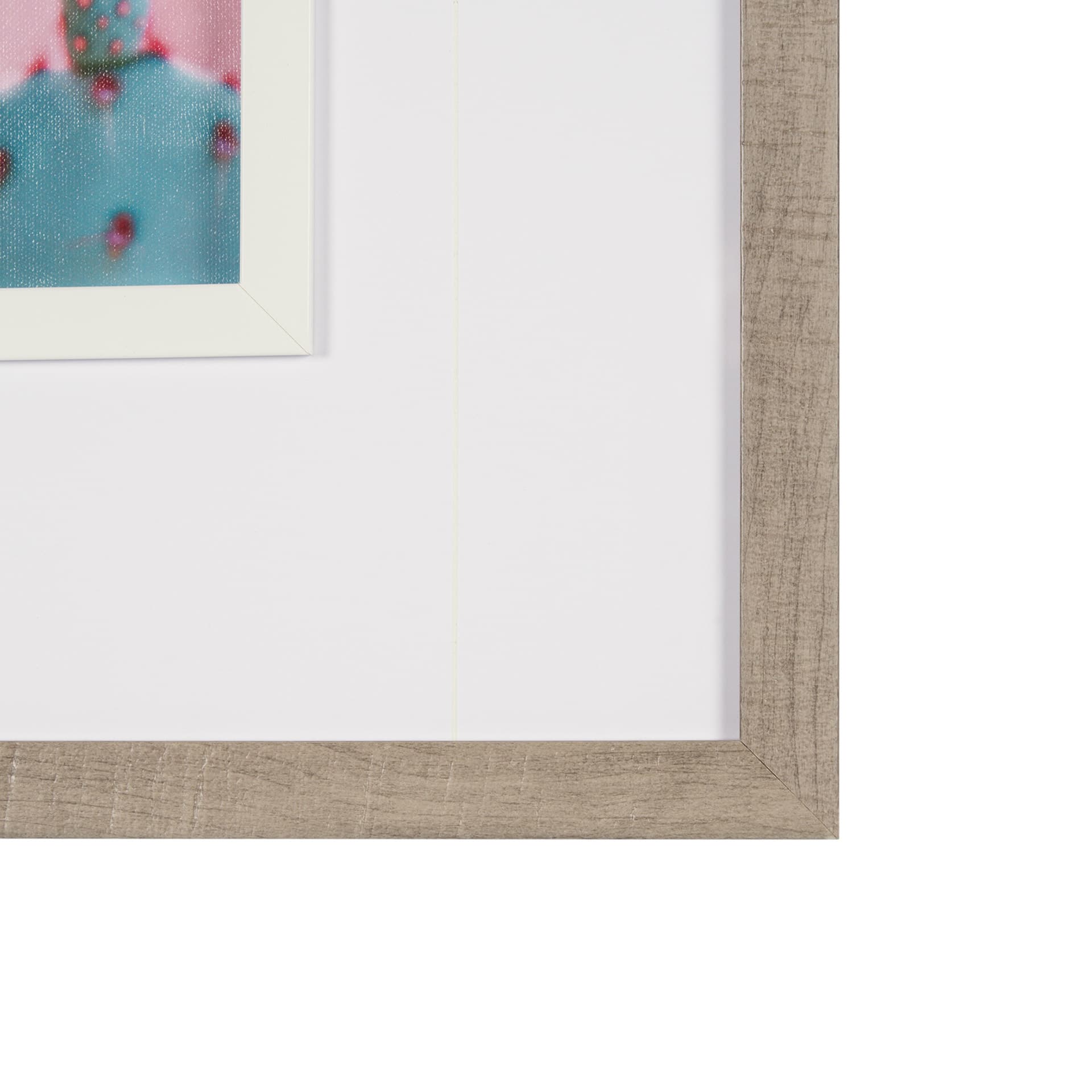 Blush Botanicals - Prickles by Philippe Hugonnard a Hand Embellished Framed Photo Art Print Matted u — product photograph