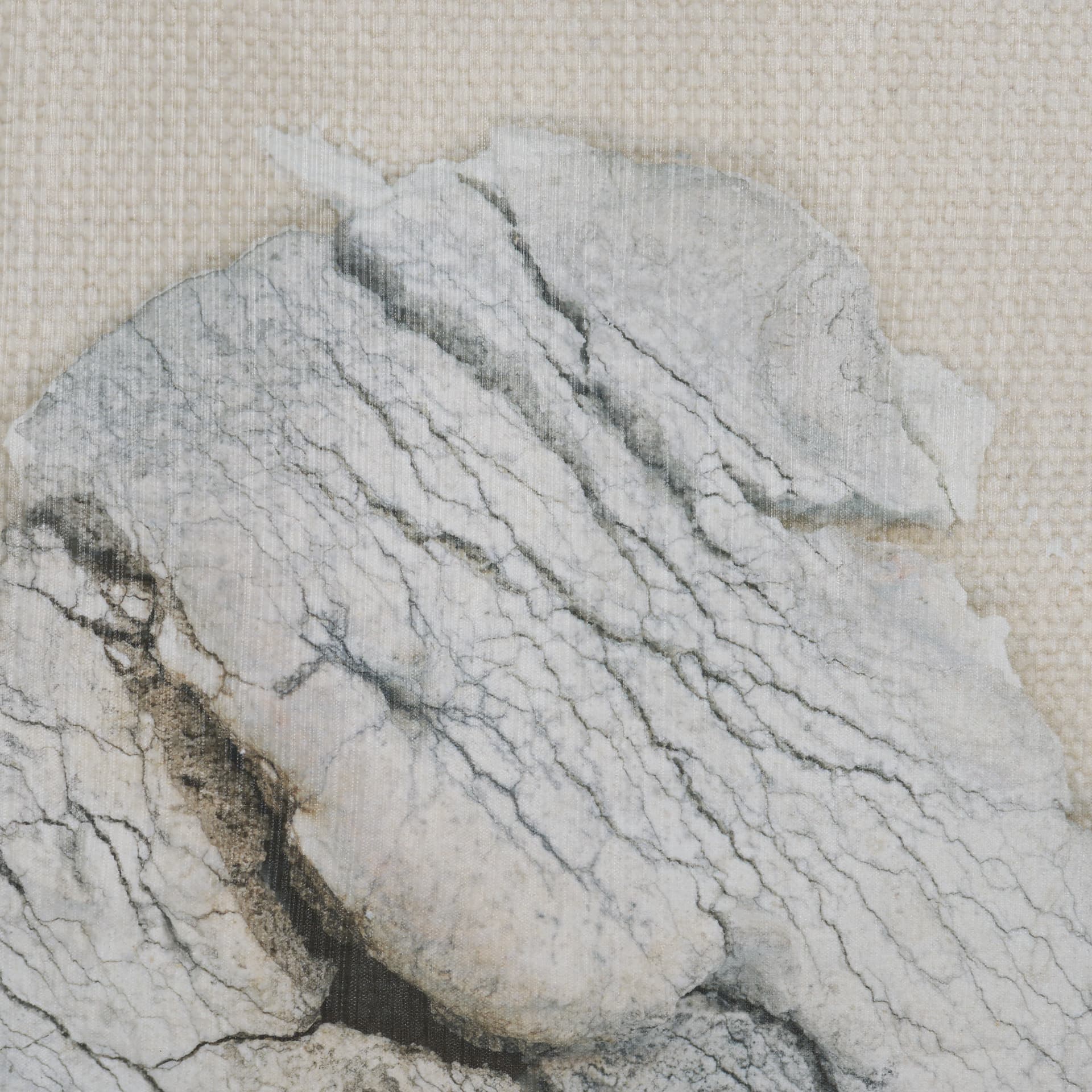 Evolution by Ira Havuka Hand-Embellished Textured Framed Canvas Artwork — product photograph