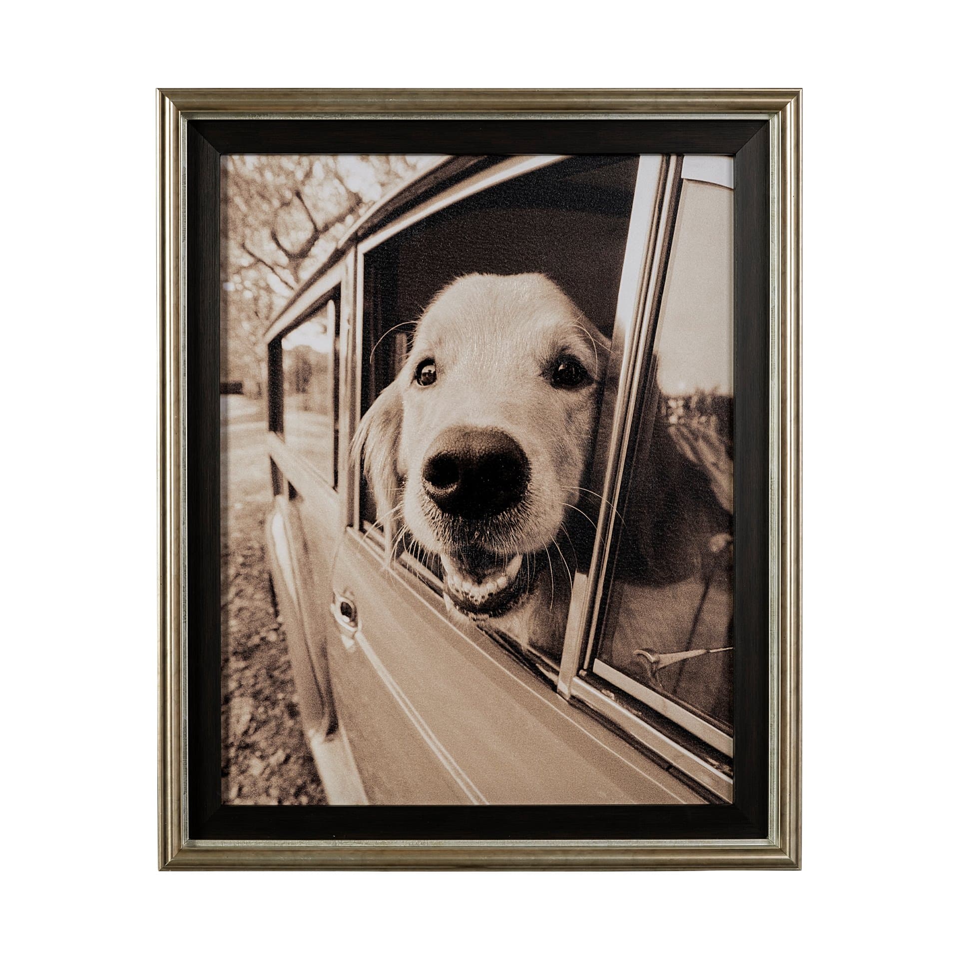 Where you go by Jim Drafield a Hand Embelished Textured Framed Photo Art Print — product photograph