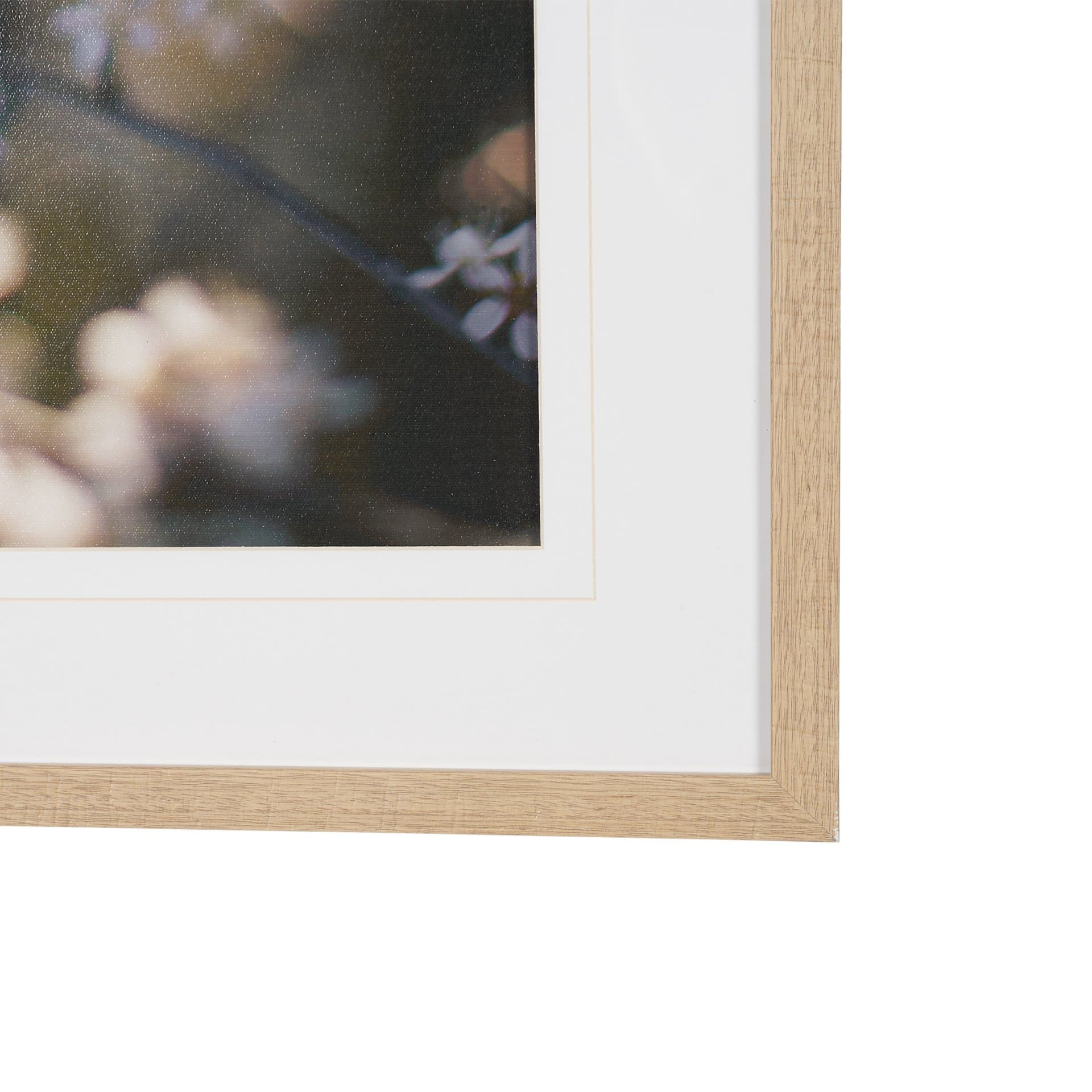 Wilde Prunus by Zaira Zarotti Textured Framed Photo Print Matted under Glass — product photograph