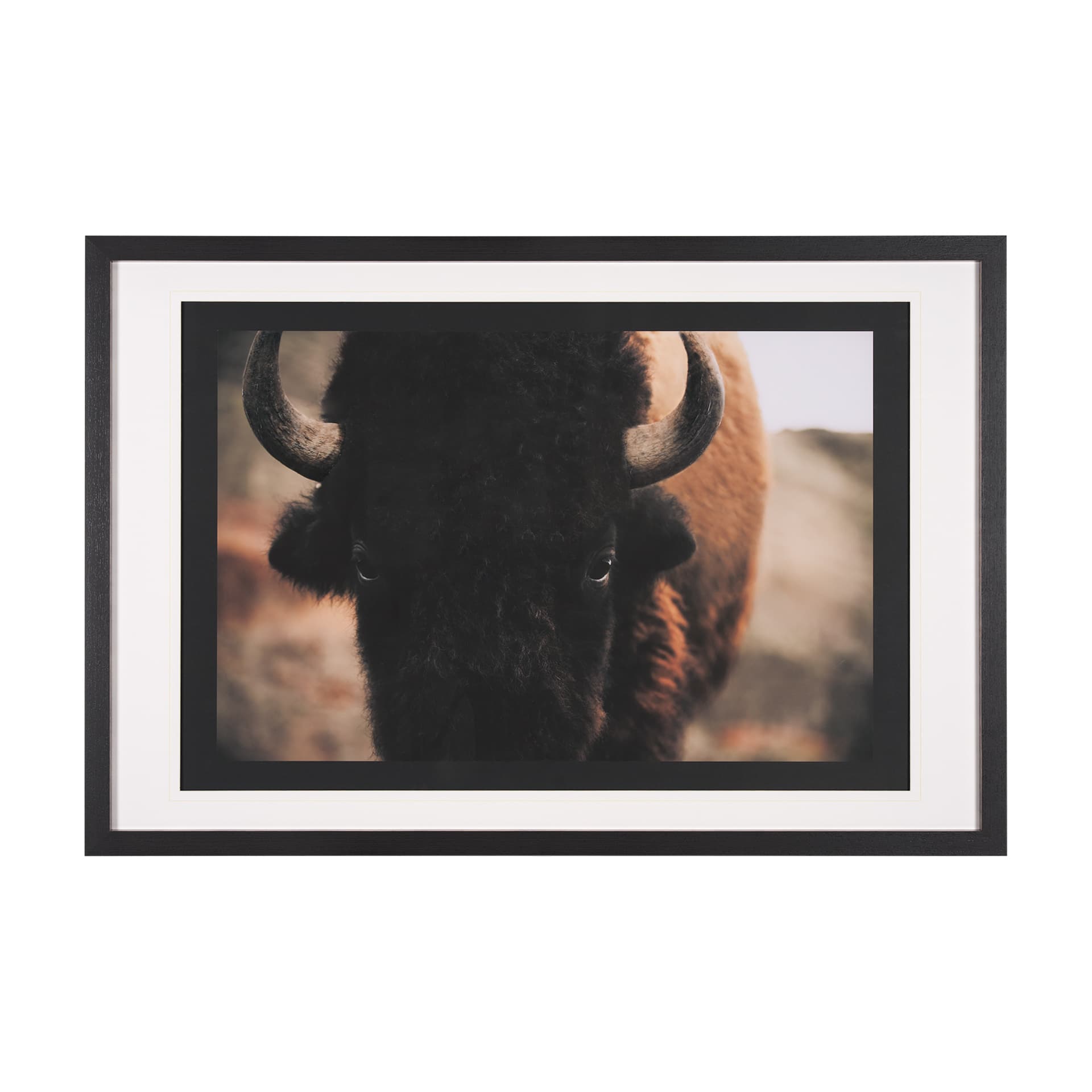 Stare Down by Chad Mackay a Hand Embelished Textured Framed Photo Art Print Matted under Glass — product photograph