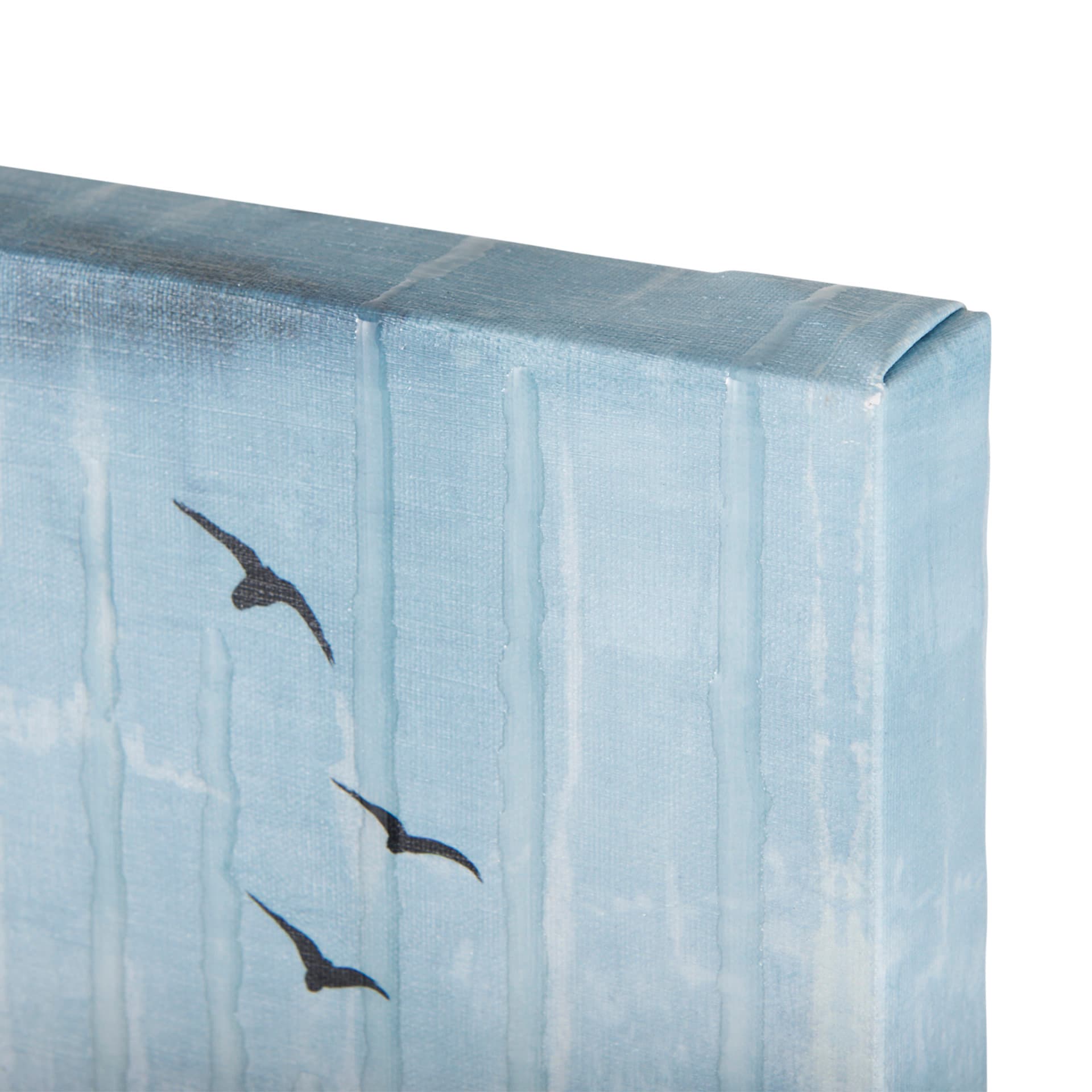 Daily Fly Over by Julie Devine a Canvas Print — product photograph