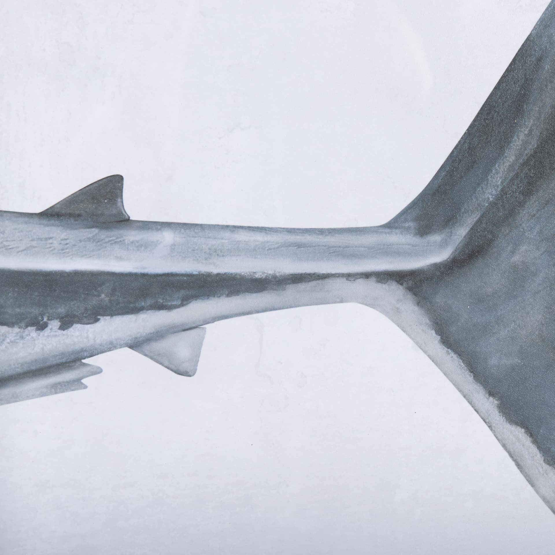 Great White Shark by Ariana a Triptych Hand Embellished Textured Framed Art Print Matted under Glass — product photograph