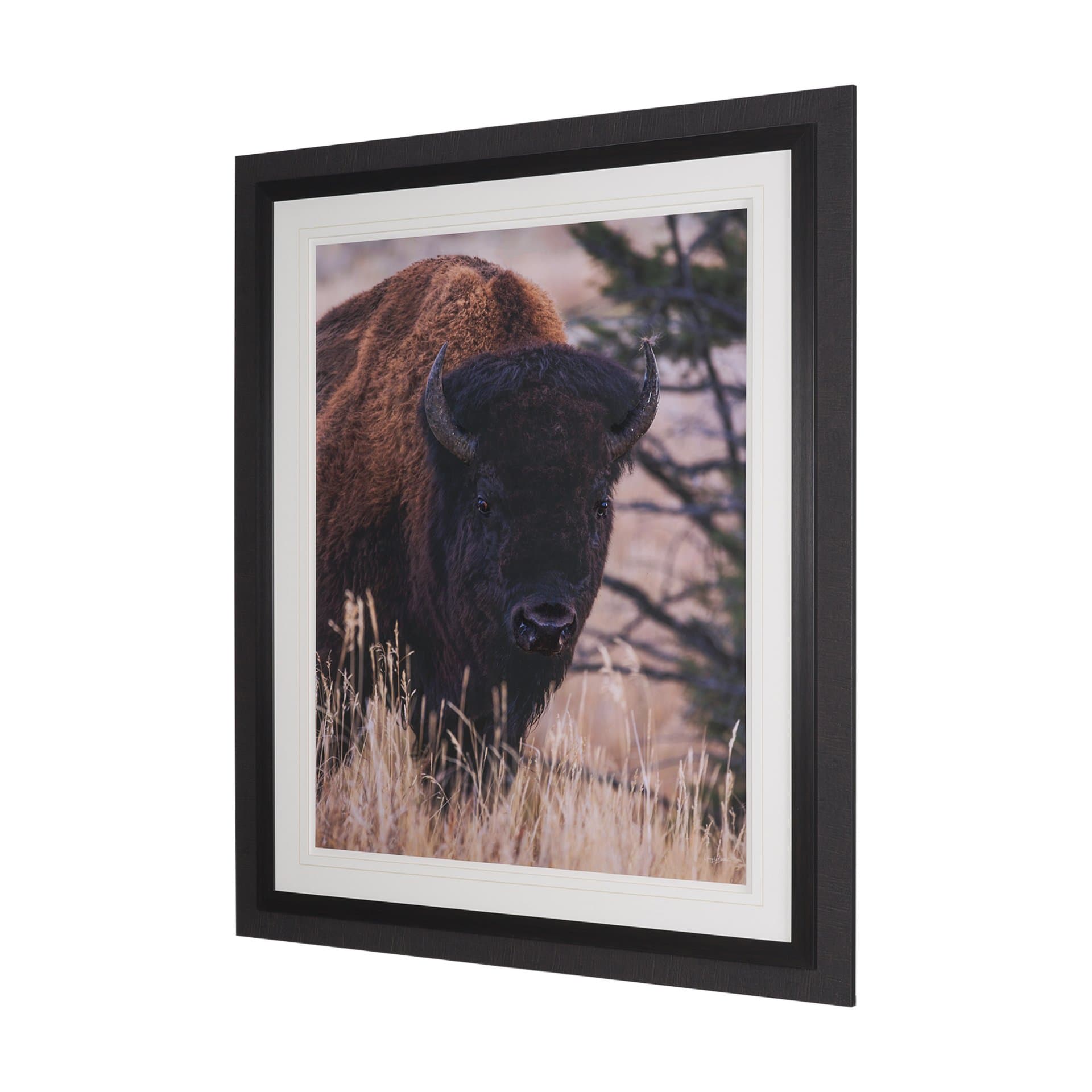 Stop Horsing Around by Gary Blatter Hand Embelished Framed Art Print Matted under Glass — product photograph