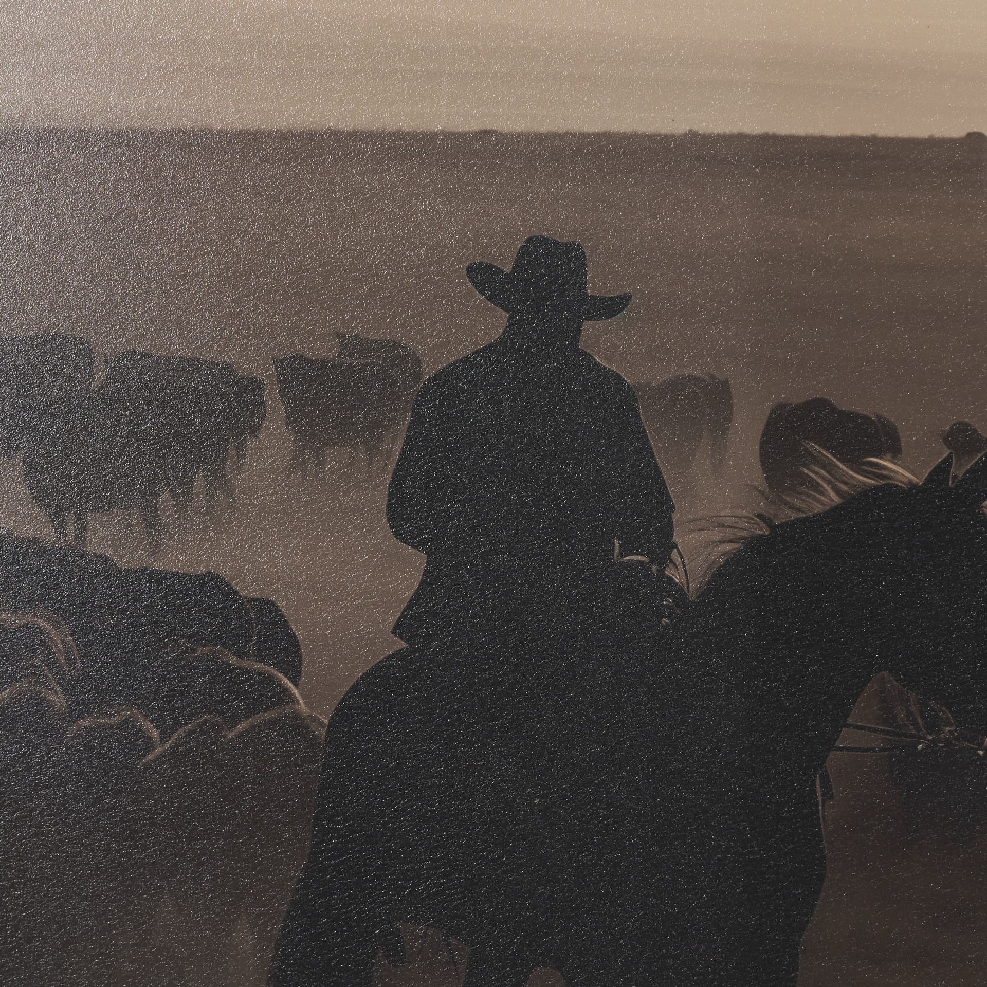 Golden Hour Cowboy Herd by Andreas Magnusson Textured FramedPhoto Print Matted under Glass — product photograph