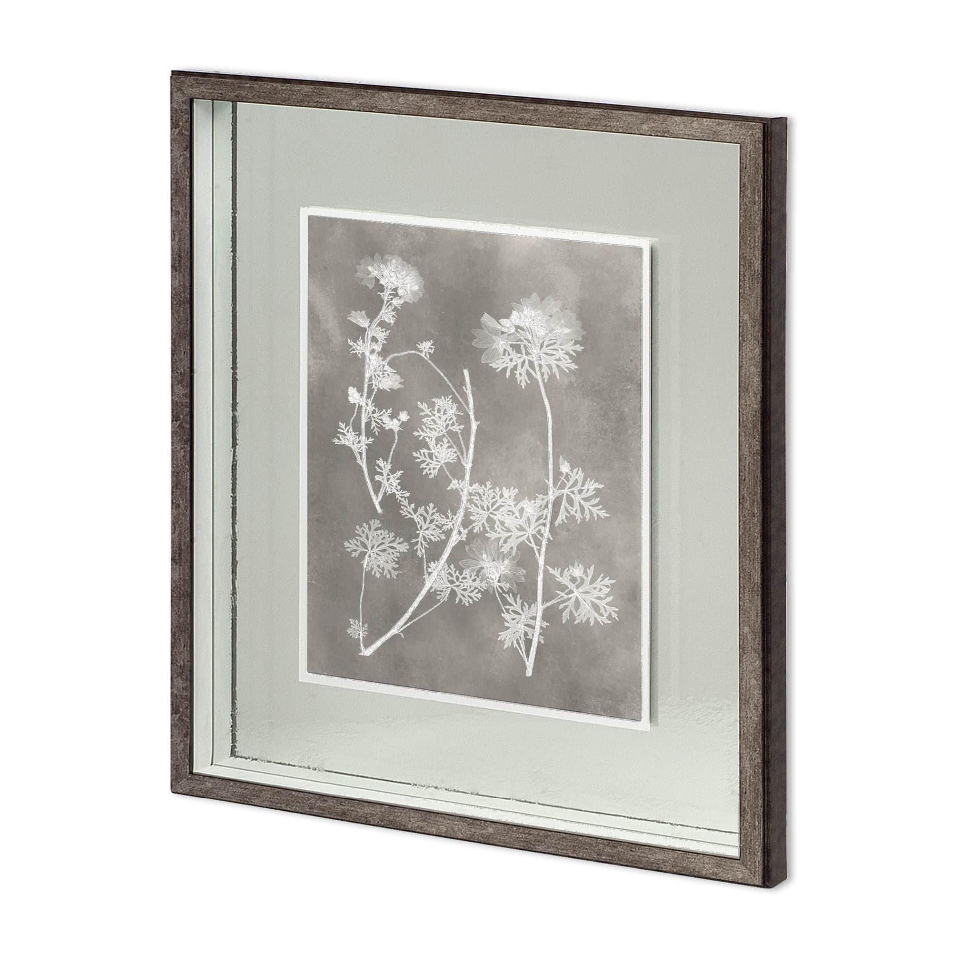 Custom Herbarium Study IV by Vision Studio Hand Embellished Framed Art Print Matted under Glass — product photograph