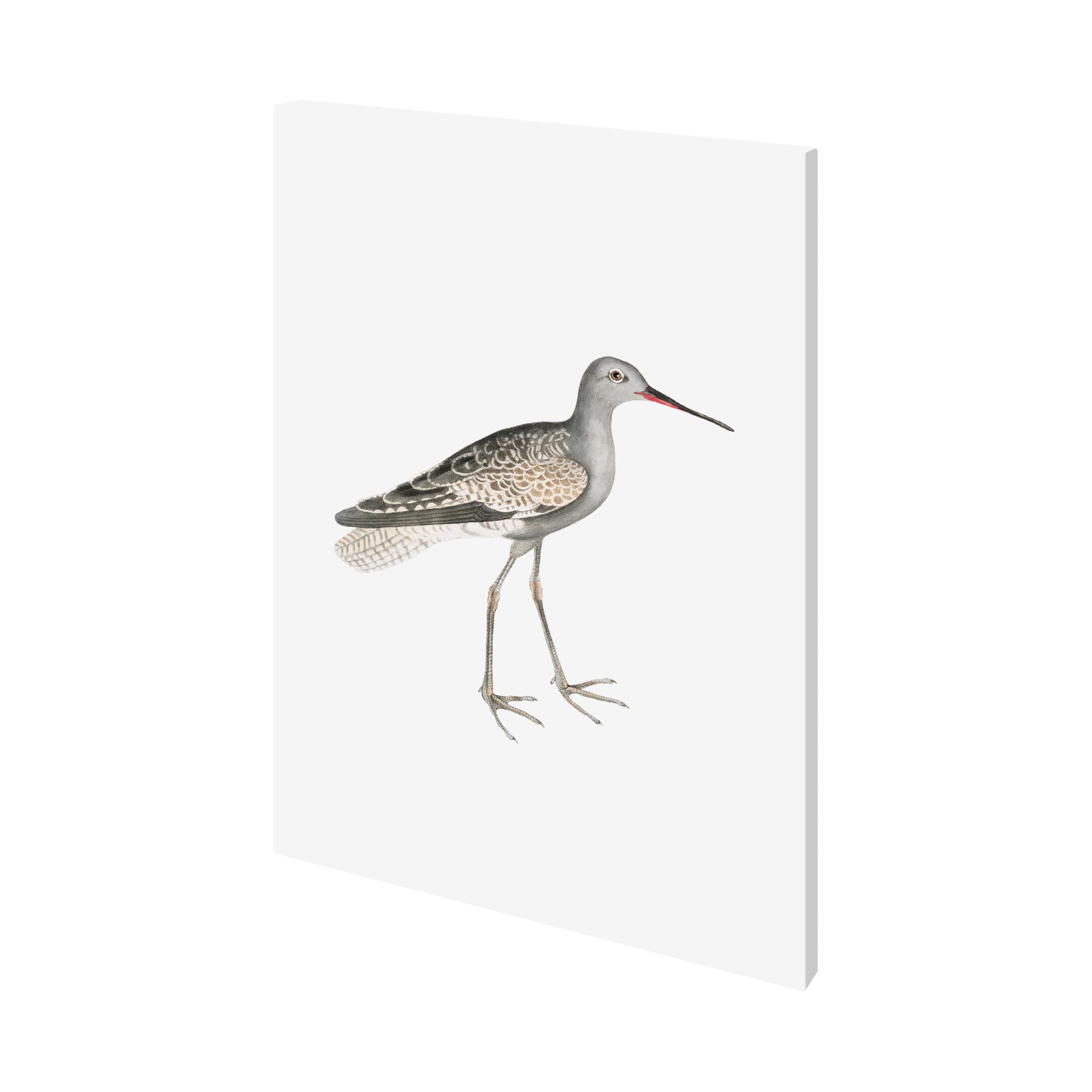 Ash Headed Snipe by Maria Mendez a Hand Embellished Textured Canvas — product photograph