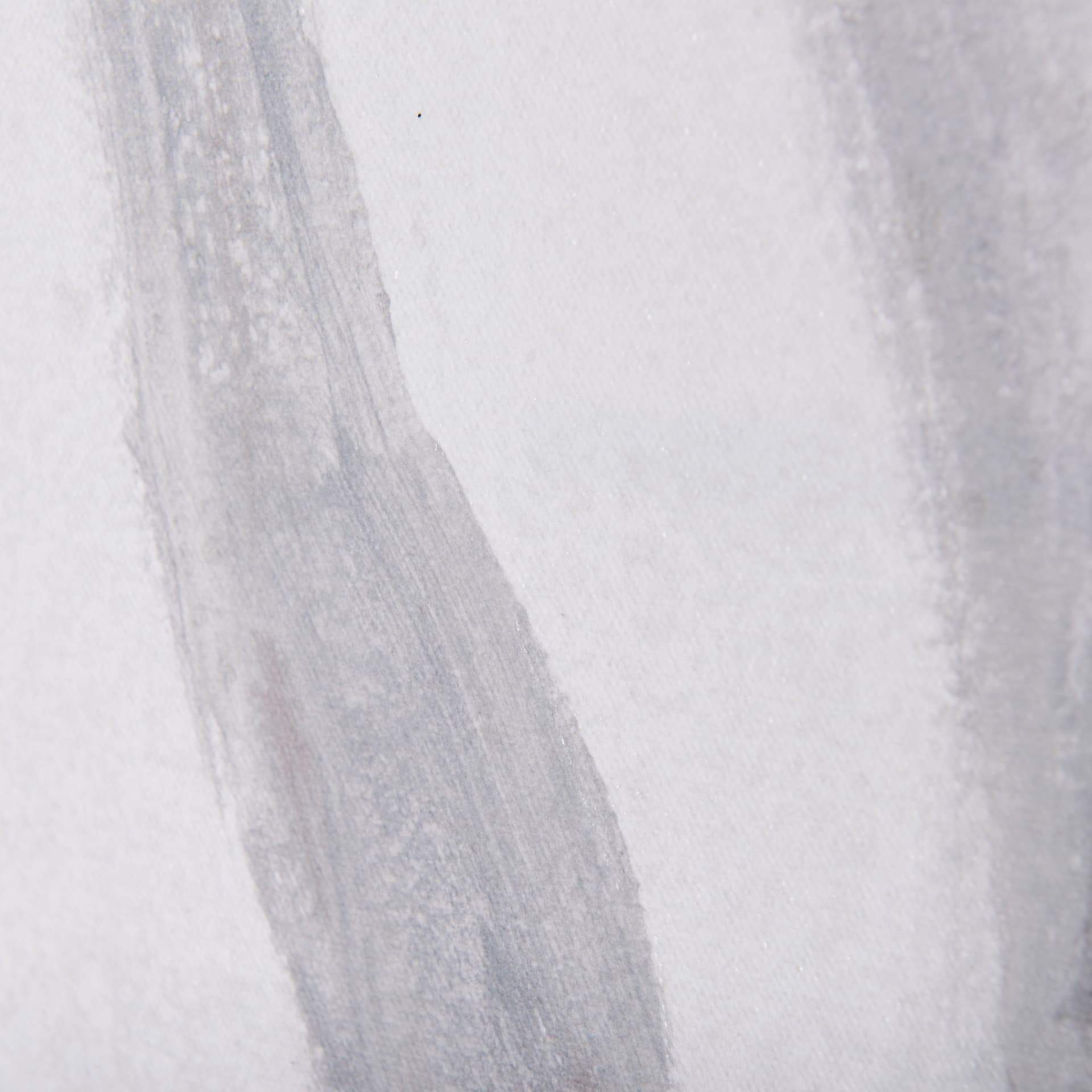 A Winter Day in Forest I by Mercana Studio a Hand Embellished Textured Canvas — product photograph