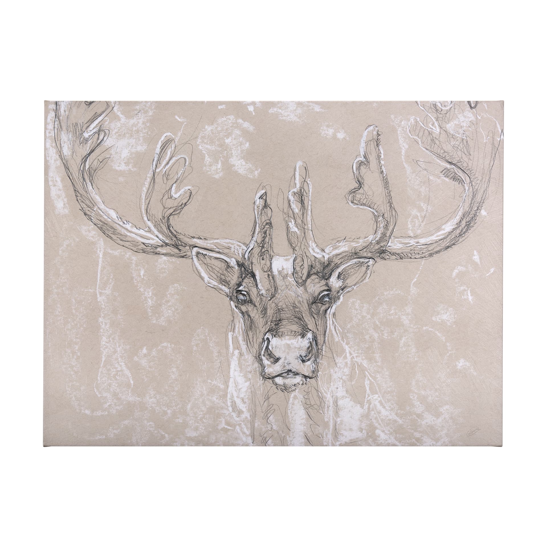 Sketch of animal II (Caribou) by Mercana Studio a Hand Embellished Textured Canvas — product photograph