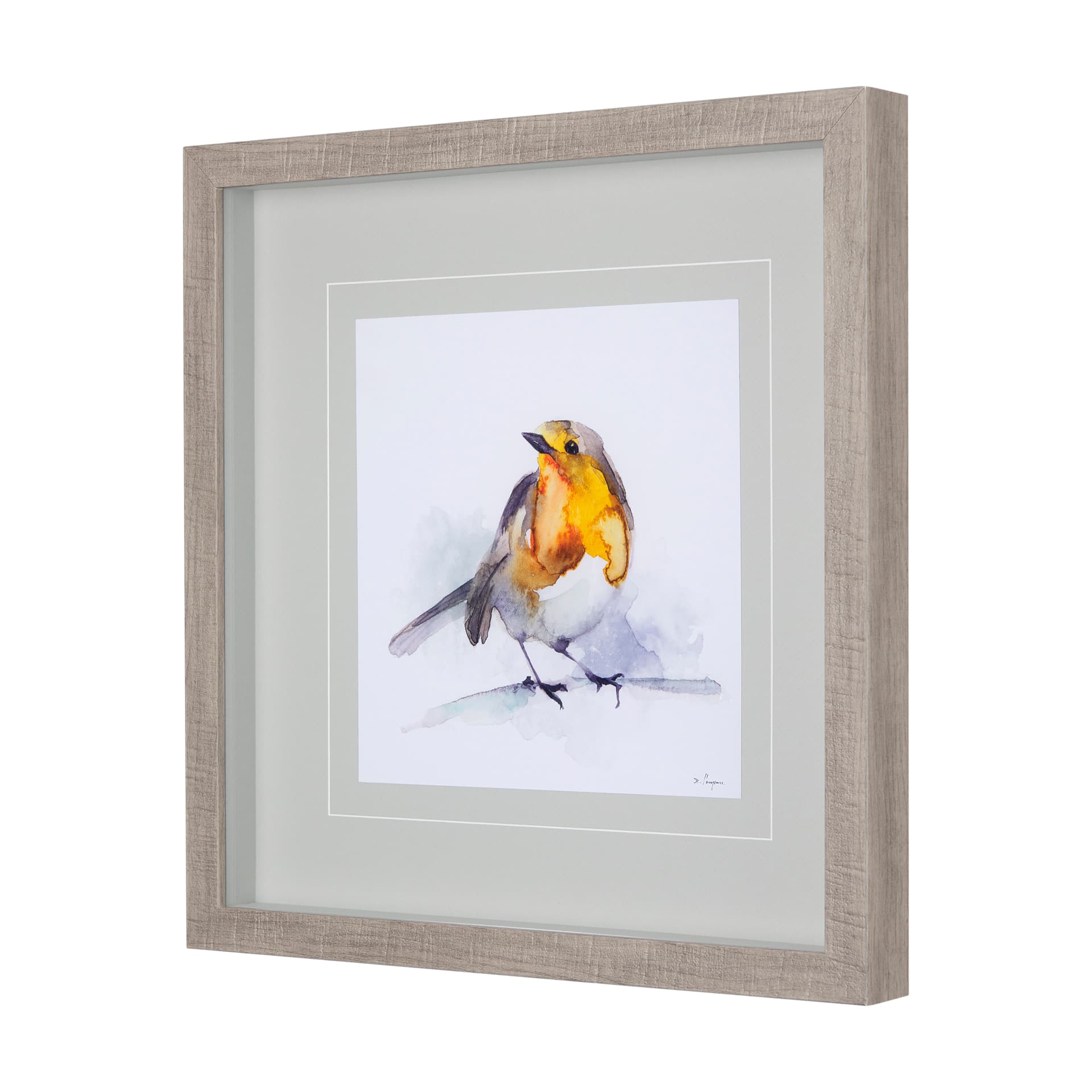 Robin IV by Mercana Studio a Hand Embellished Textured Framed Art Print Matted under Glass — product photograph