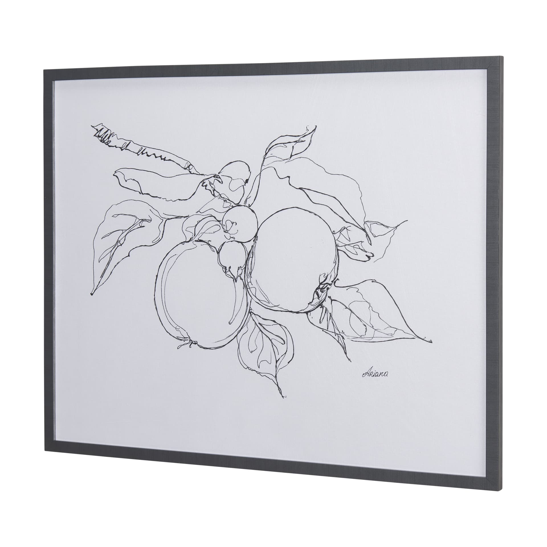Fruit Sketch Apple by Mercana Studio a Hand Embellished Textured Framed Art Print — product photograph