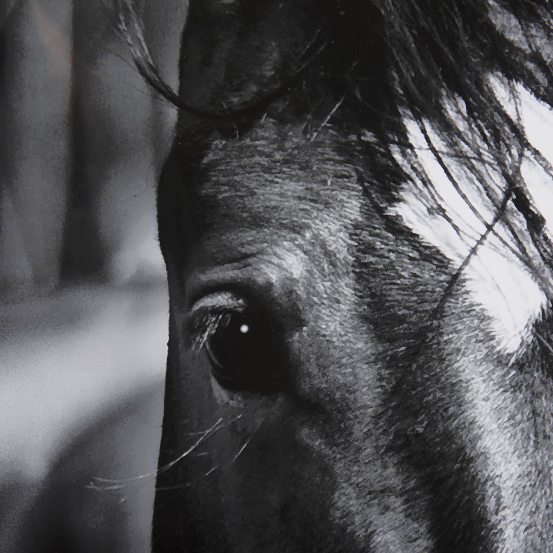 Watched Presence by Mercana Studio a Hand Embellished Textured Framed Photo Art Print Matted under G — product photograph