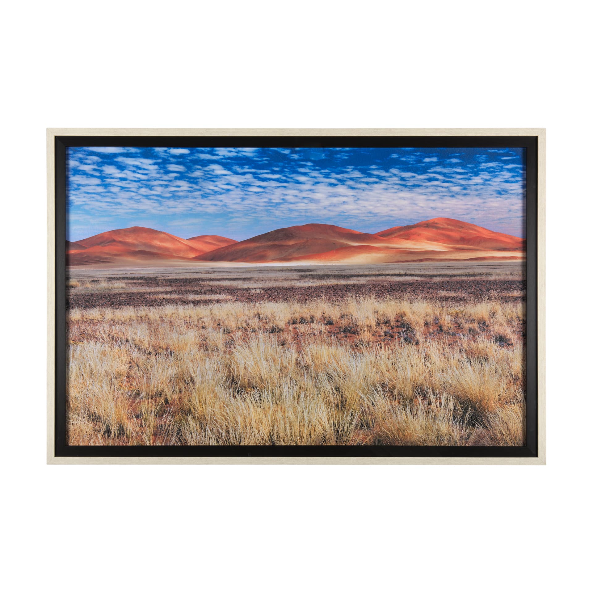 Bold Adventure by Mercana Studio a Hand Embellished Textured Framed Art Photo Matted under Glass — product photograph