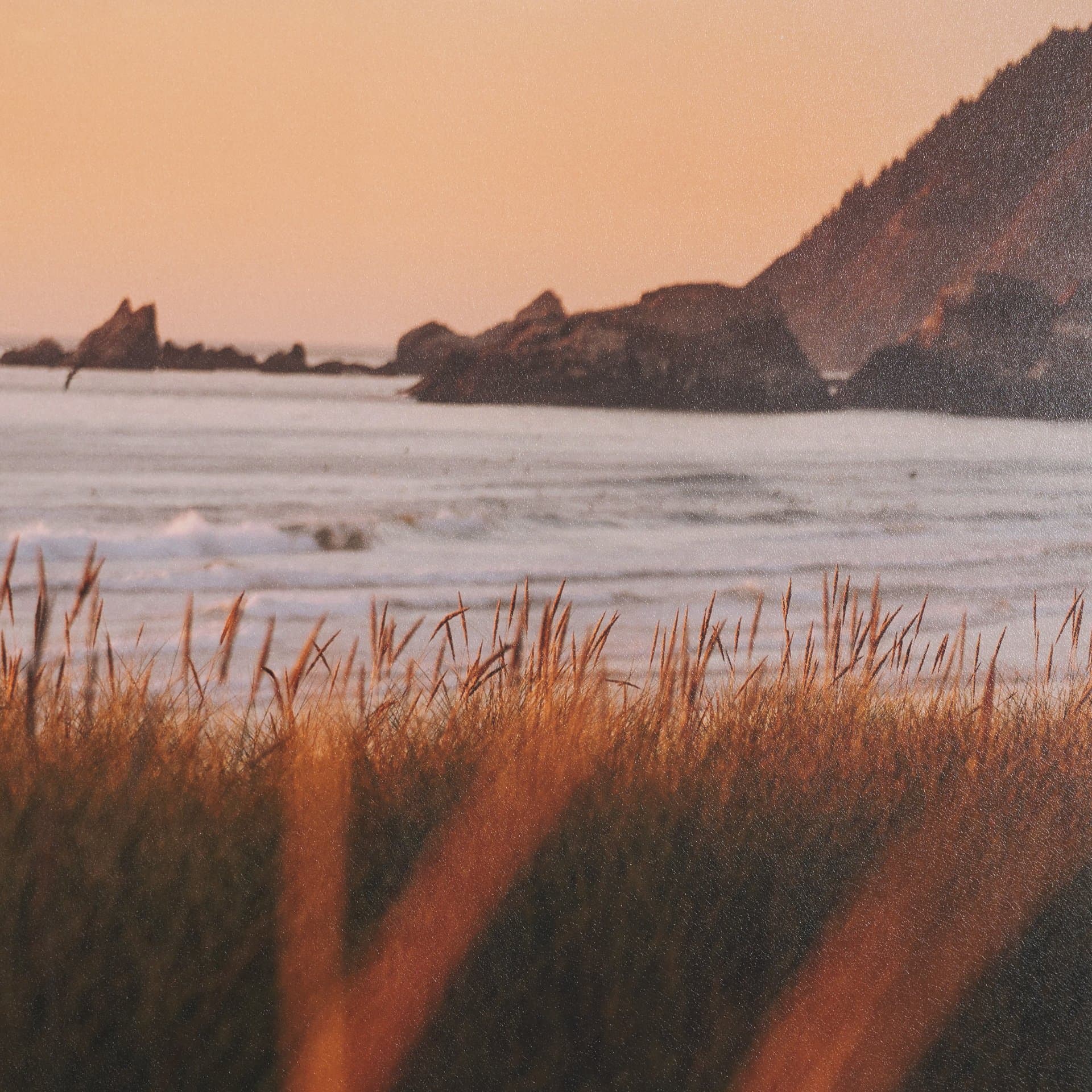 Cannon Beach Elk by Stefan and Audrey Textured Framed Photo Print Matted under Glass — product photograph