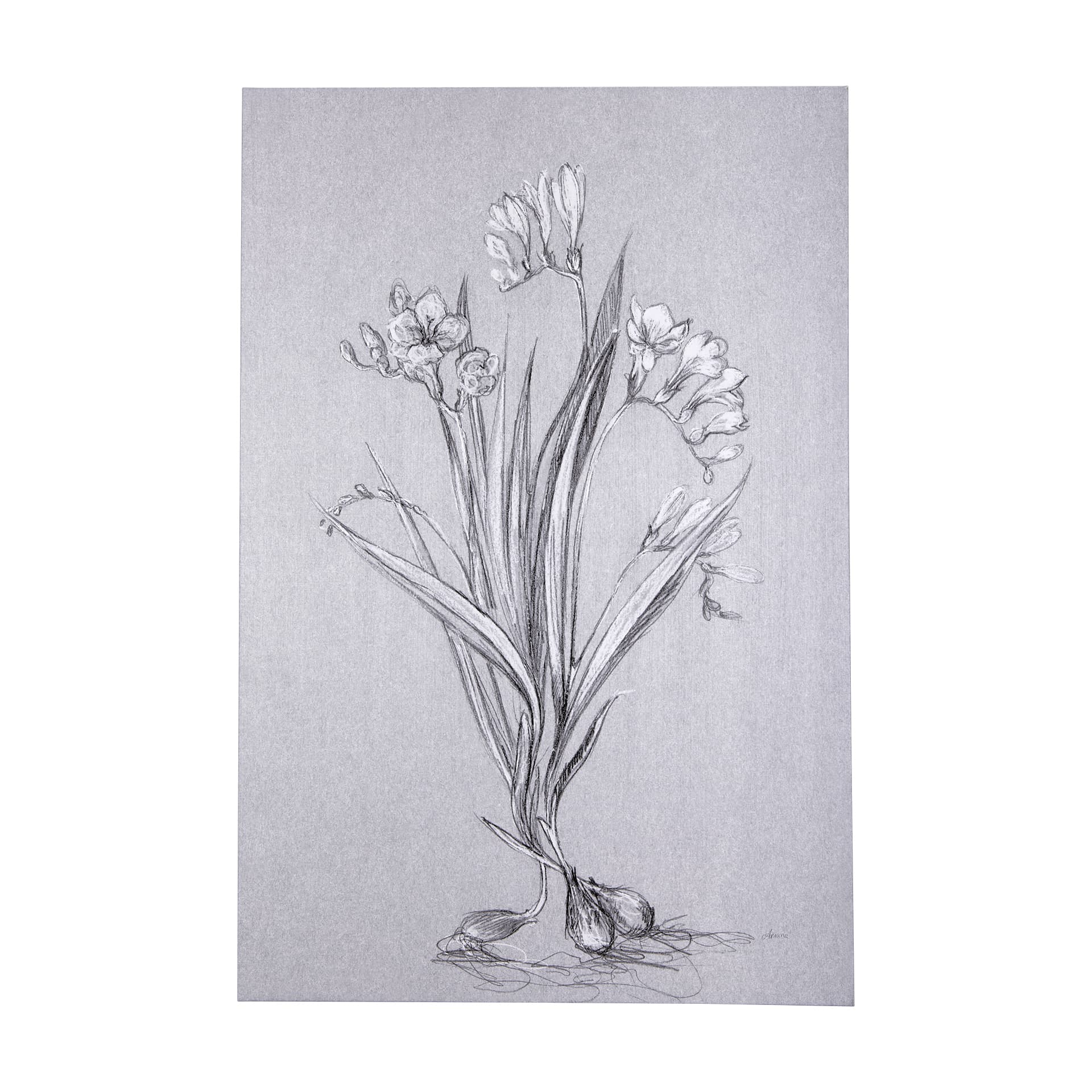 Botanical sketches III (Grey) by Mercana Studio a Hand Embellished Textured Canvas — product photograph