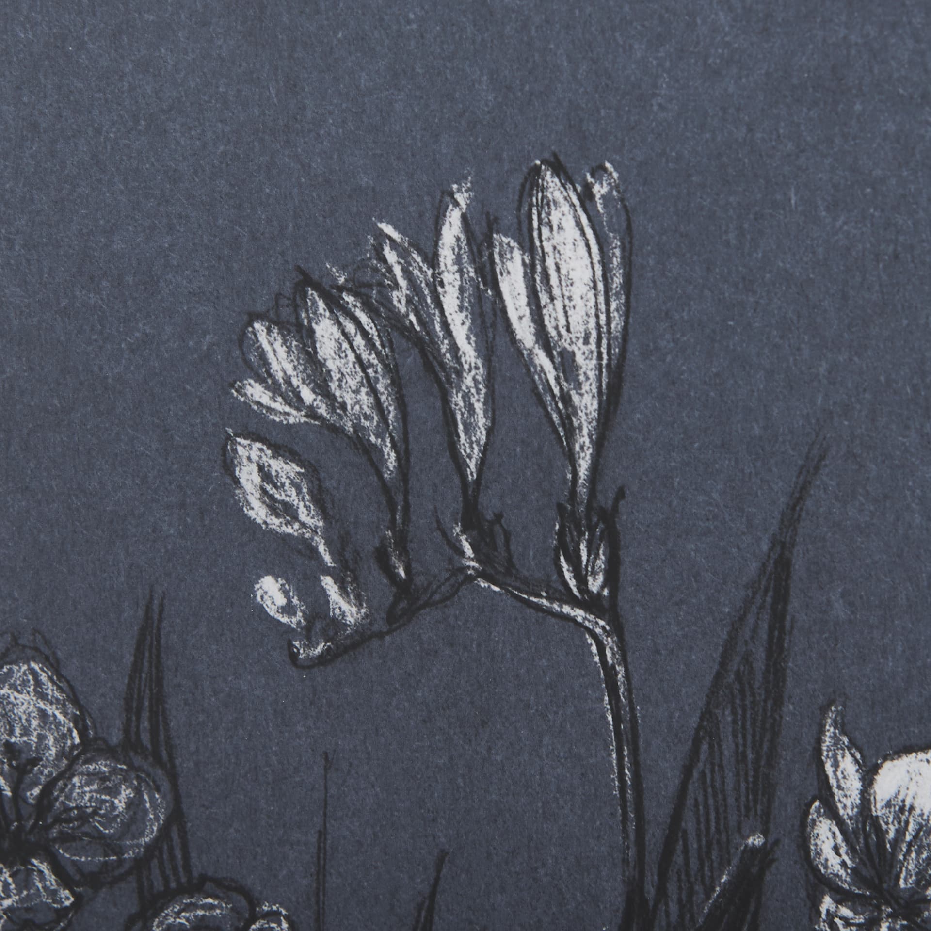 Botanical sketches III (Blue) by Mercana Studio Hand Embellished Framed Art Print Matted under Glass — product photograph