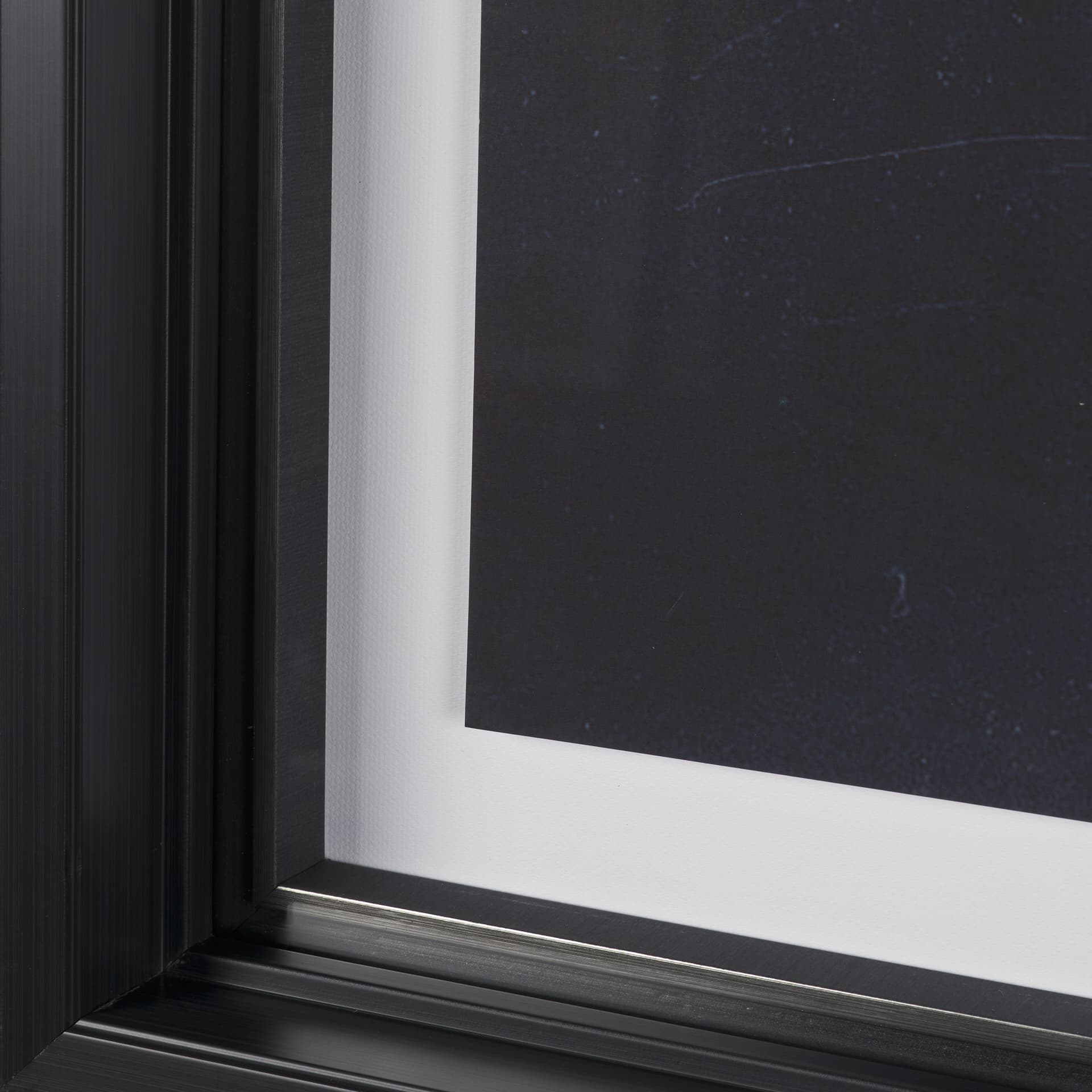 Urchin Still Life IV by Nathan Larson a Hand Embellished Framed Photo Art Print Matted under Glass — product photograph