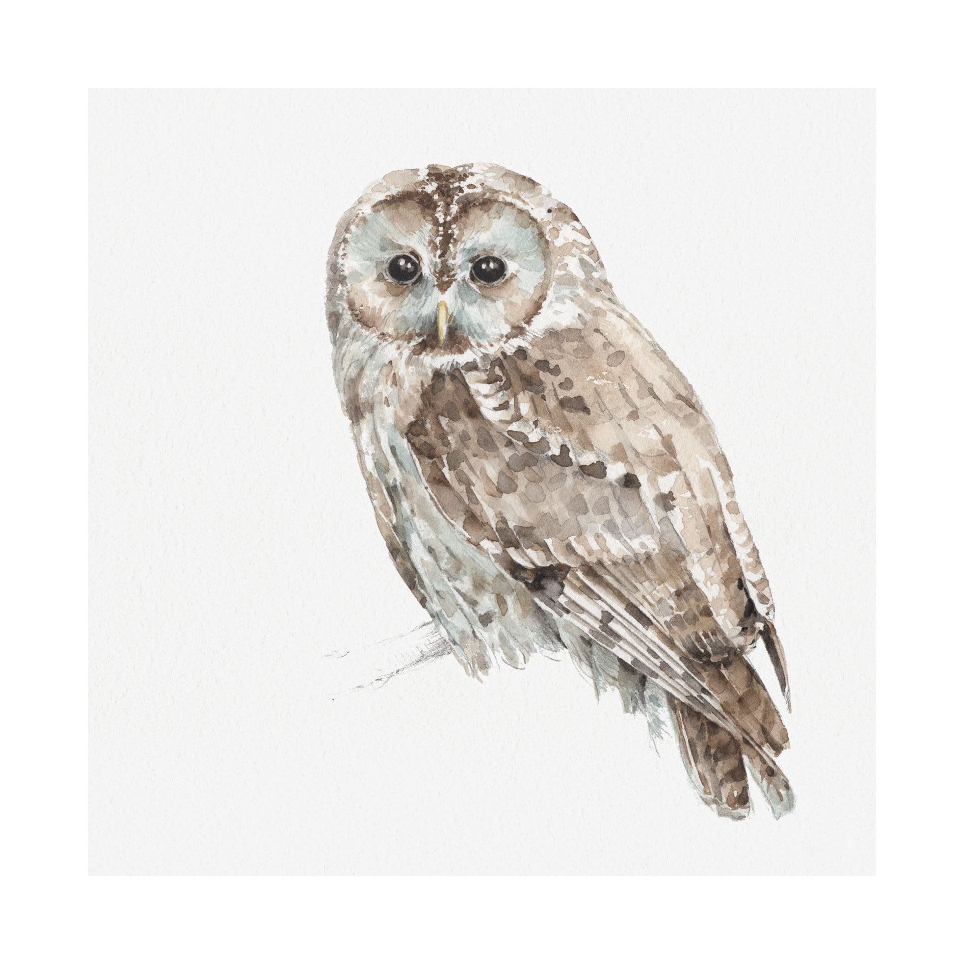 Forest Friends IX (Owl) by Lisa Audit a Hand Embellished Textured Canvas — product photograph