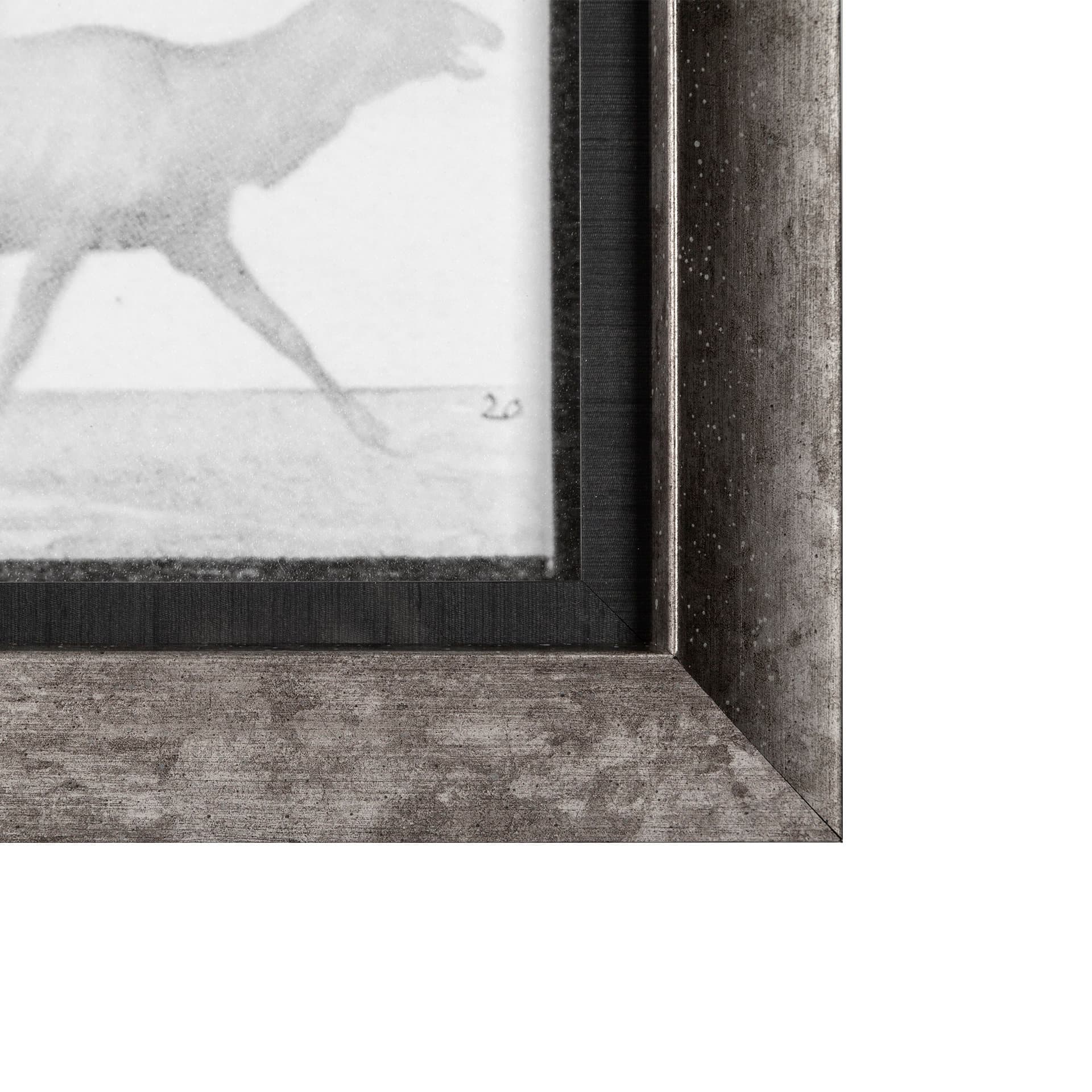 Elk Trotting by Eadweard Muybridge a Hand Embellished Textured Framed Art Print Matted under Glass — product photograph