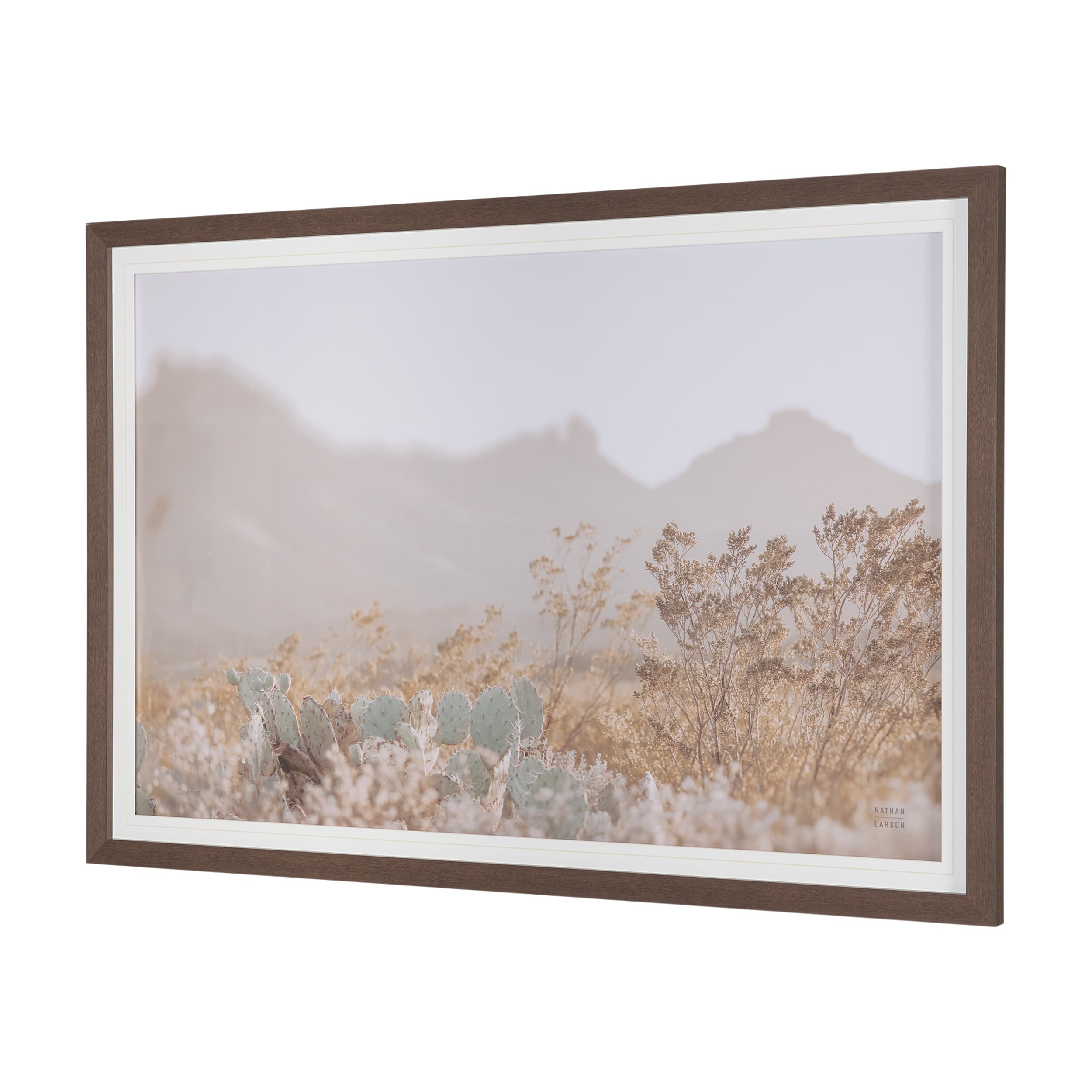 Big Bend National Park by Nathan Larson FramedPhoto Print Matted under Glass — product photograph
