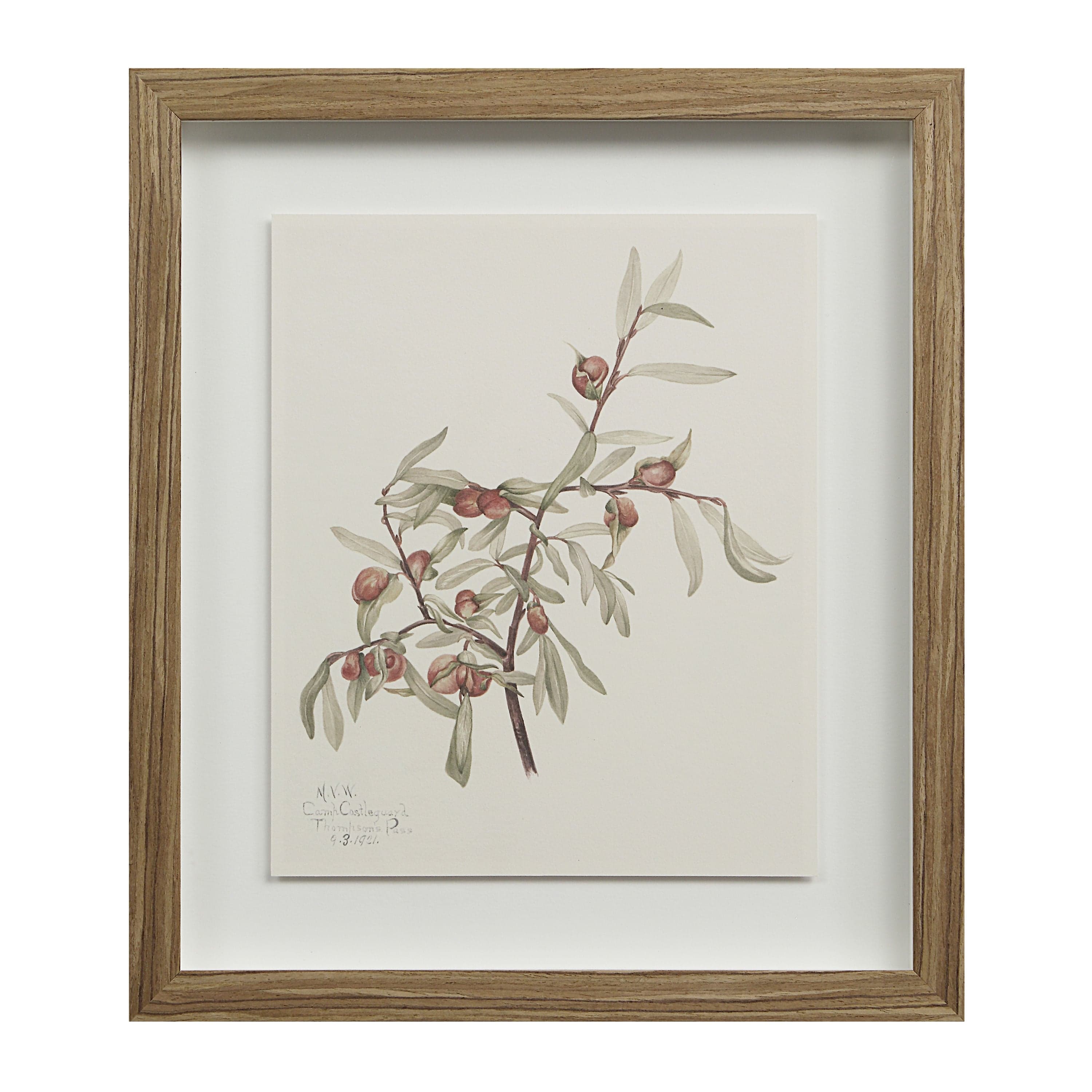 Crema — product photograph