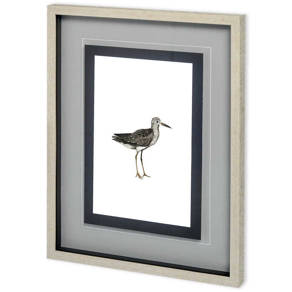 Custom Sea Bird III by Grace Popp a Framed Art Print Matted under Glass — product photograph