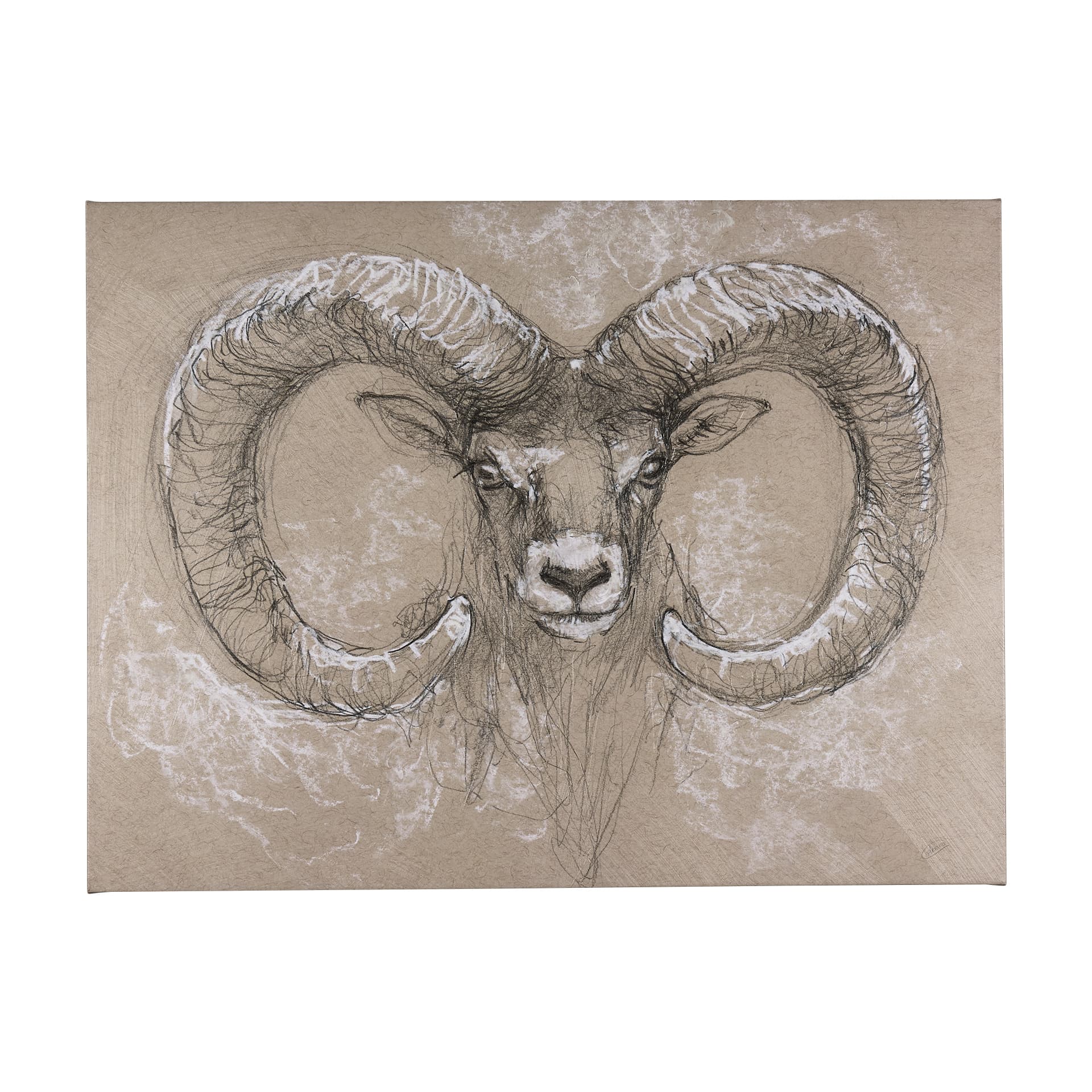 Sketch of animal I (Wild sheep) by Mercana Studio a Hand Embellished Textured Canvas — product photograph