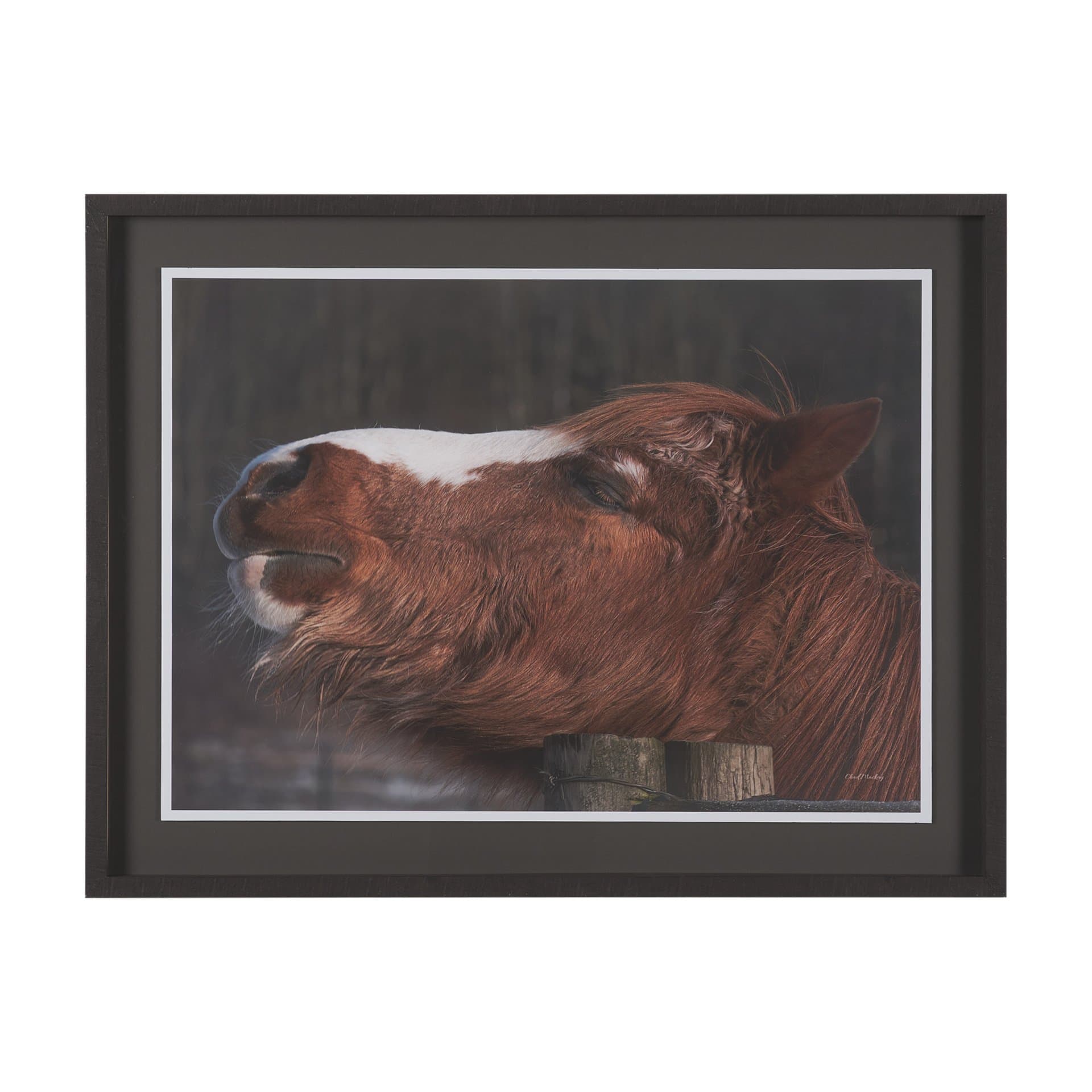 Hay over Here. by Chad Mackay FramedPhoto Print Matted under Glass — product photograph