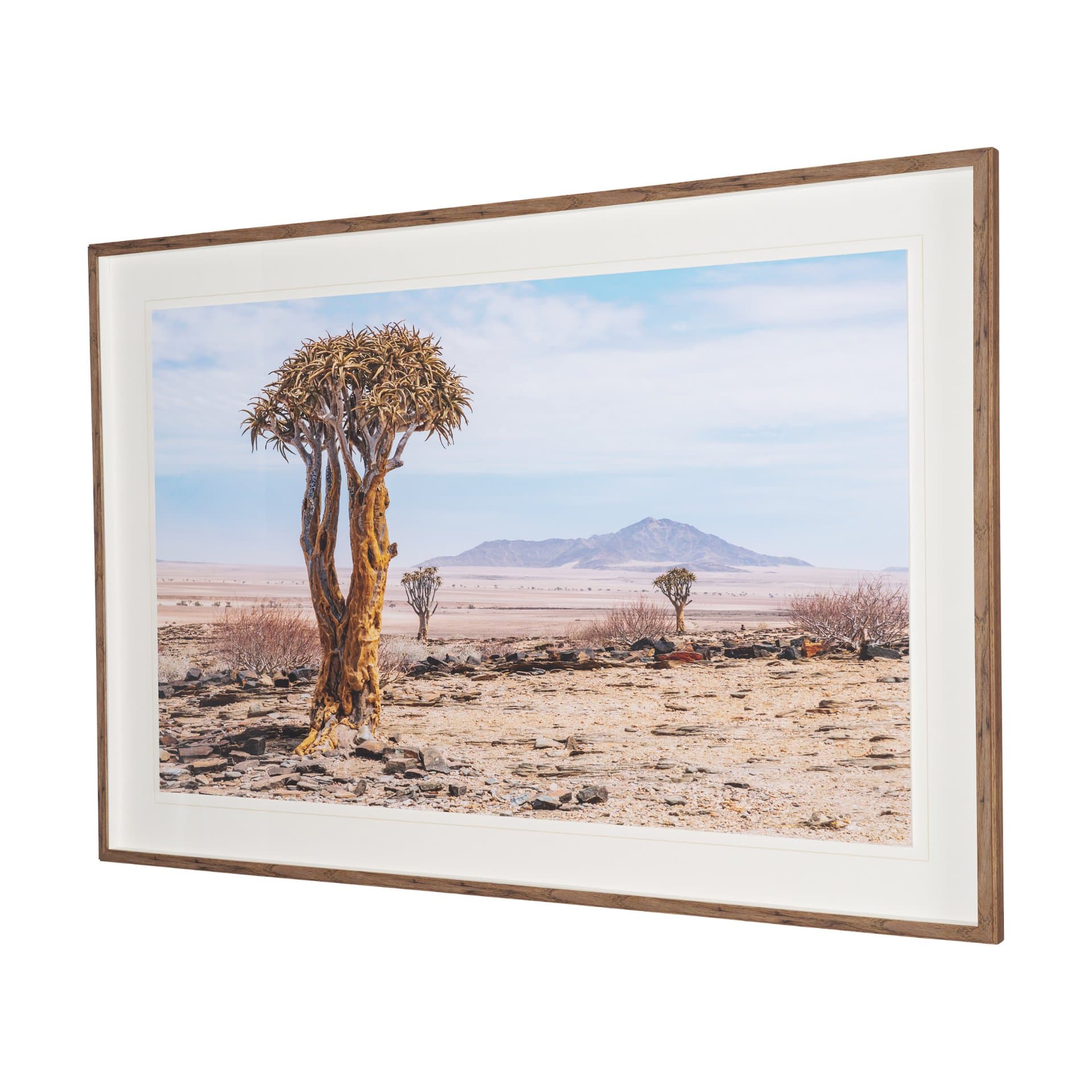 Namibia Tree in Desert by Richard Silver Textured Framed Photo Print Matted under Glass — product photograph