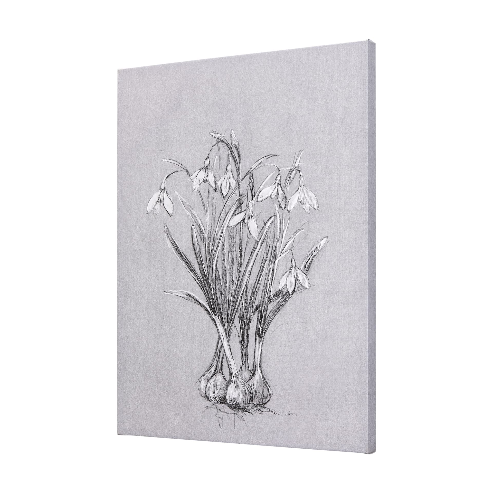 Botanical sketches VI (Grey) by Mercana Studio a Hand Embellished Textured Canvas — product photograph