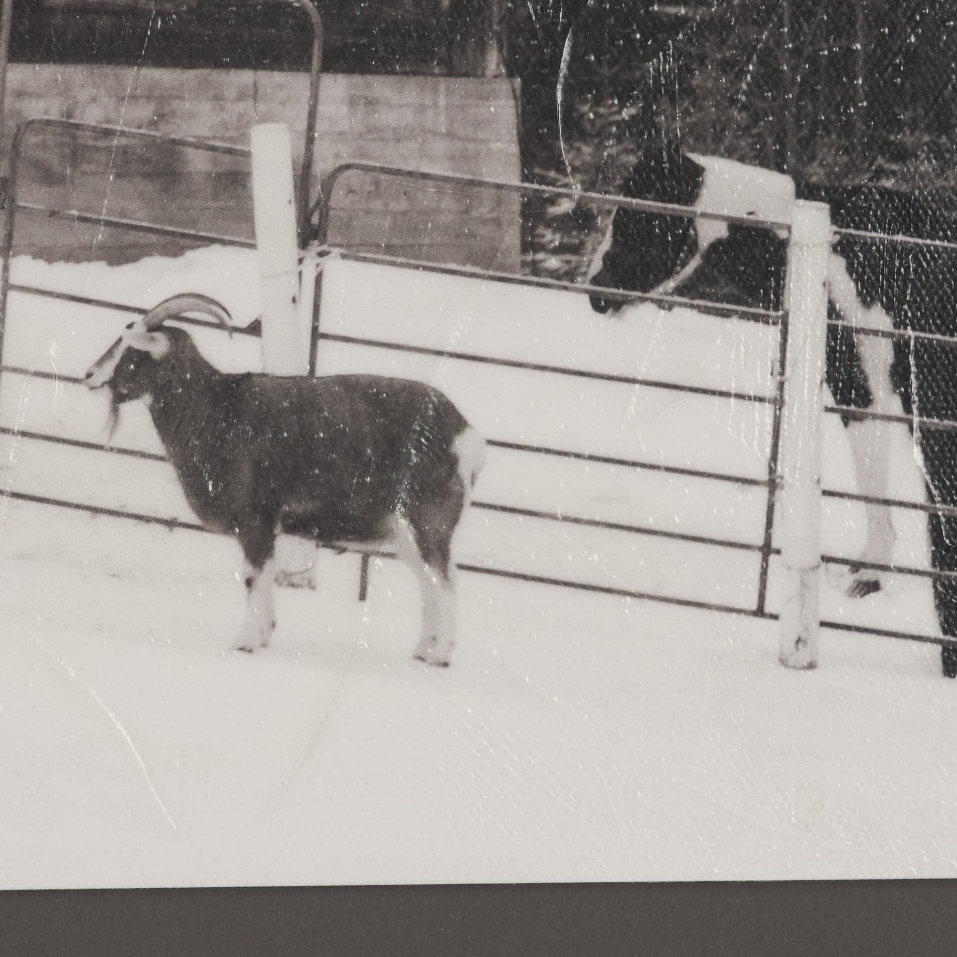 The Farm by Deborah Revell Hand Embelished Textured Framed Art Print Matted under Glass — product photograph