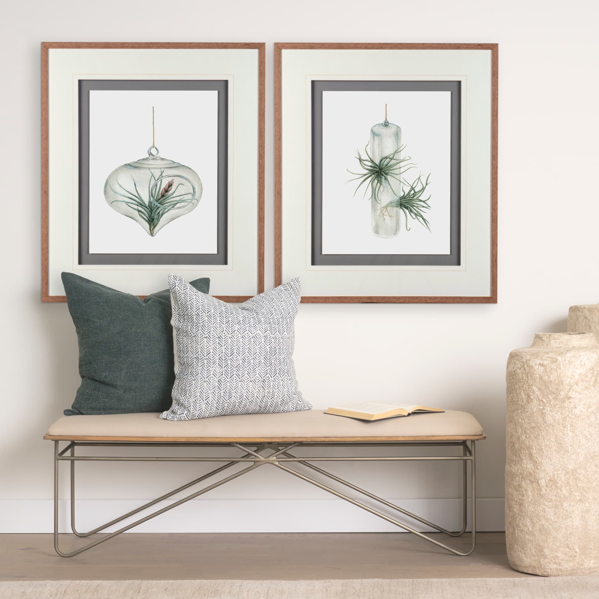 Air Plant 5 by Harvey, Brenna a Framed Art Print Matted under Glass — in a styled room