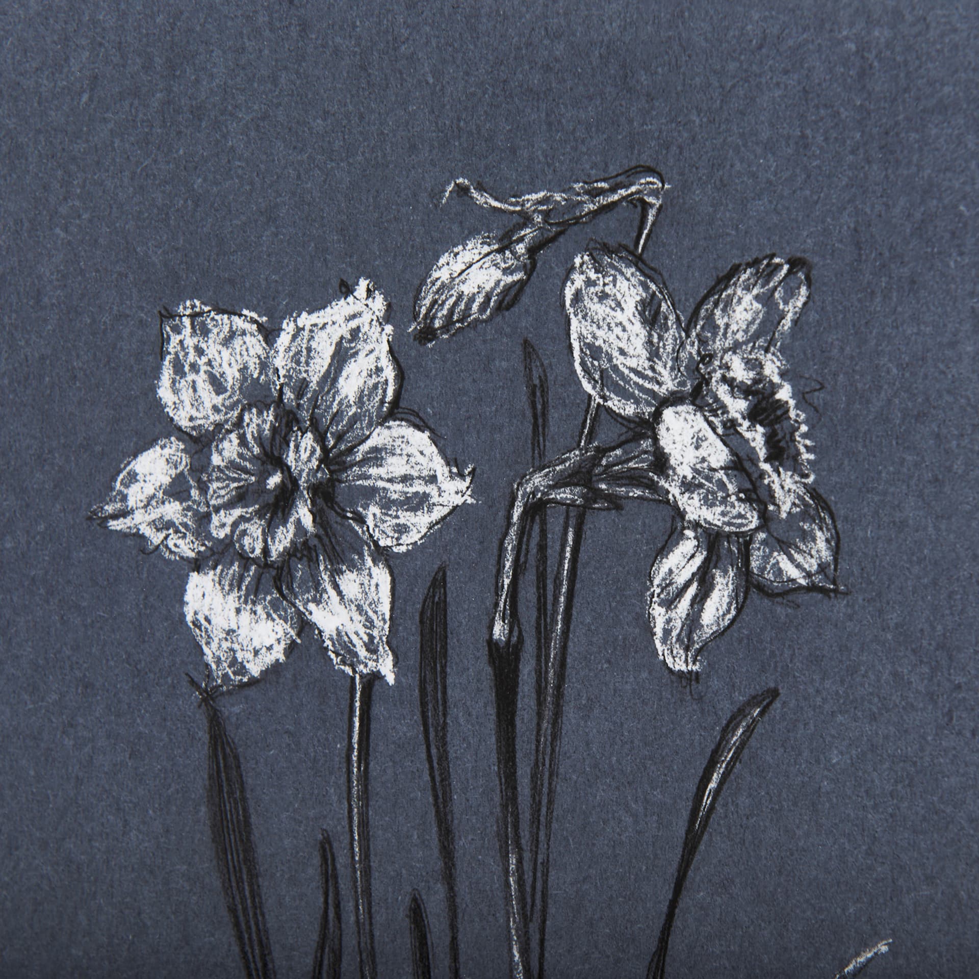 Botanical sketches II (Blue) by Mercana Studio Hand Embellished Framed Art Print Matted under Glass — product photograph
