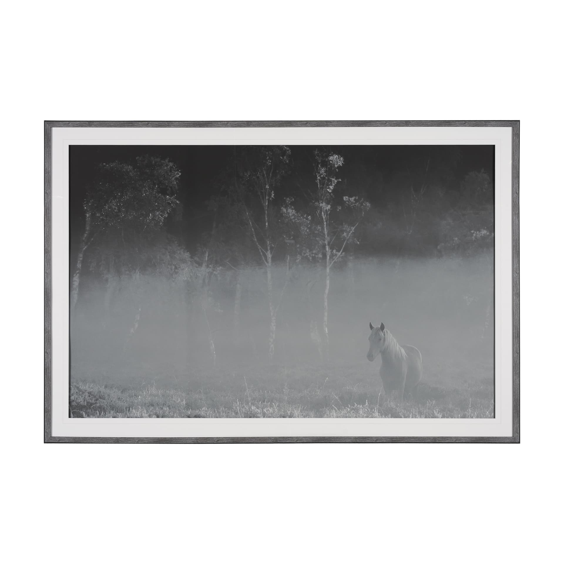 Quiet Morning by Matt Roseveare a Framed Photo Art Print Matted under Glass — product photograph