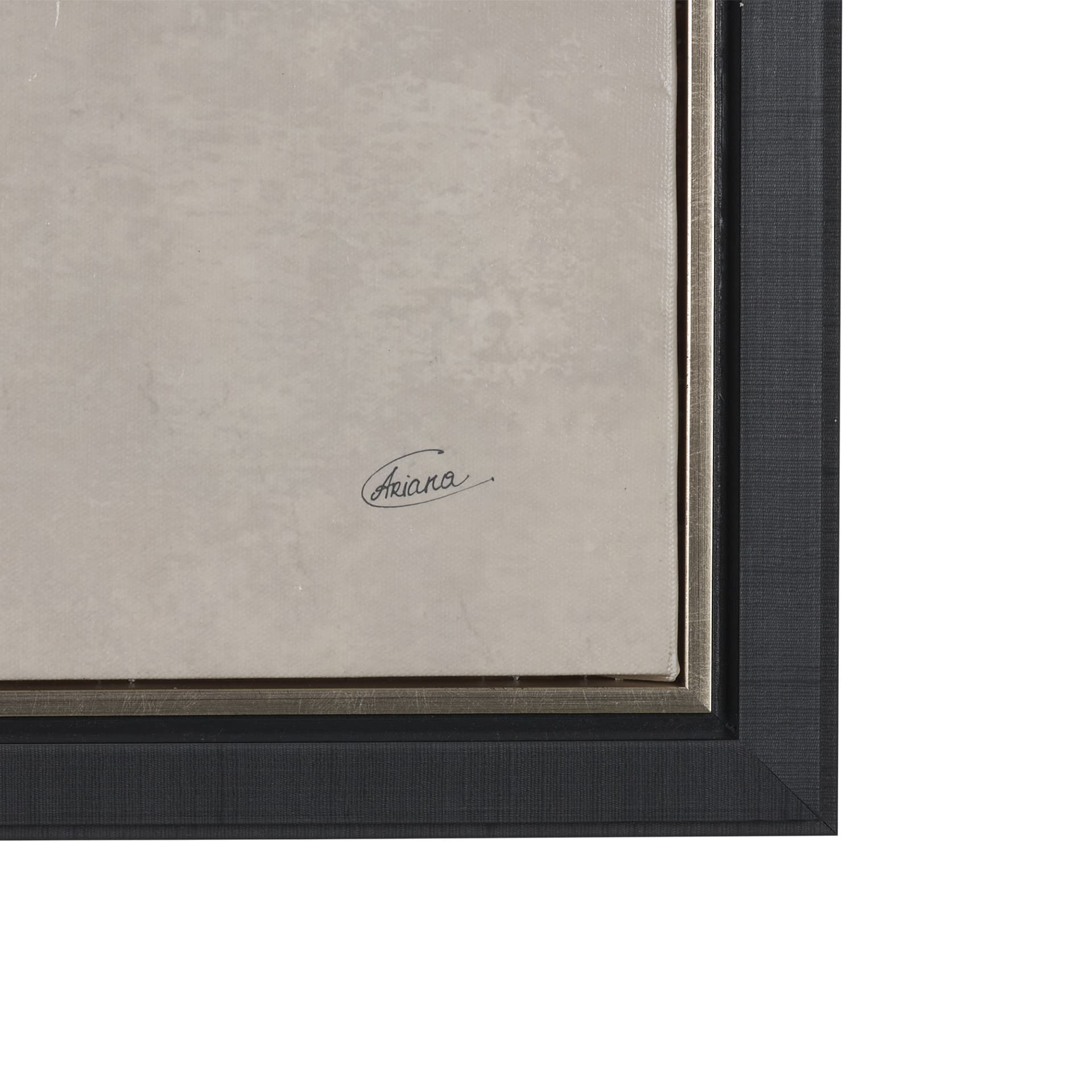 Ginkgo Shadows I by Mercana Studio Hand-Embellished Textured Framed Canvas Artwork — product photograph