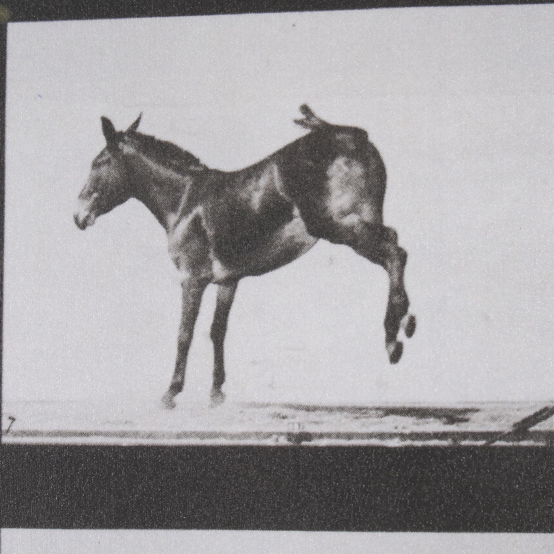 Bucking and Kicking by Eadweard Muybridge Hand Embellished Framed Art Print Matted under Glass — product photograph