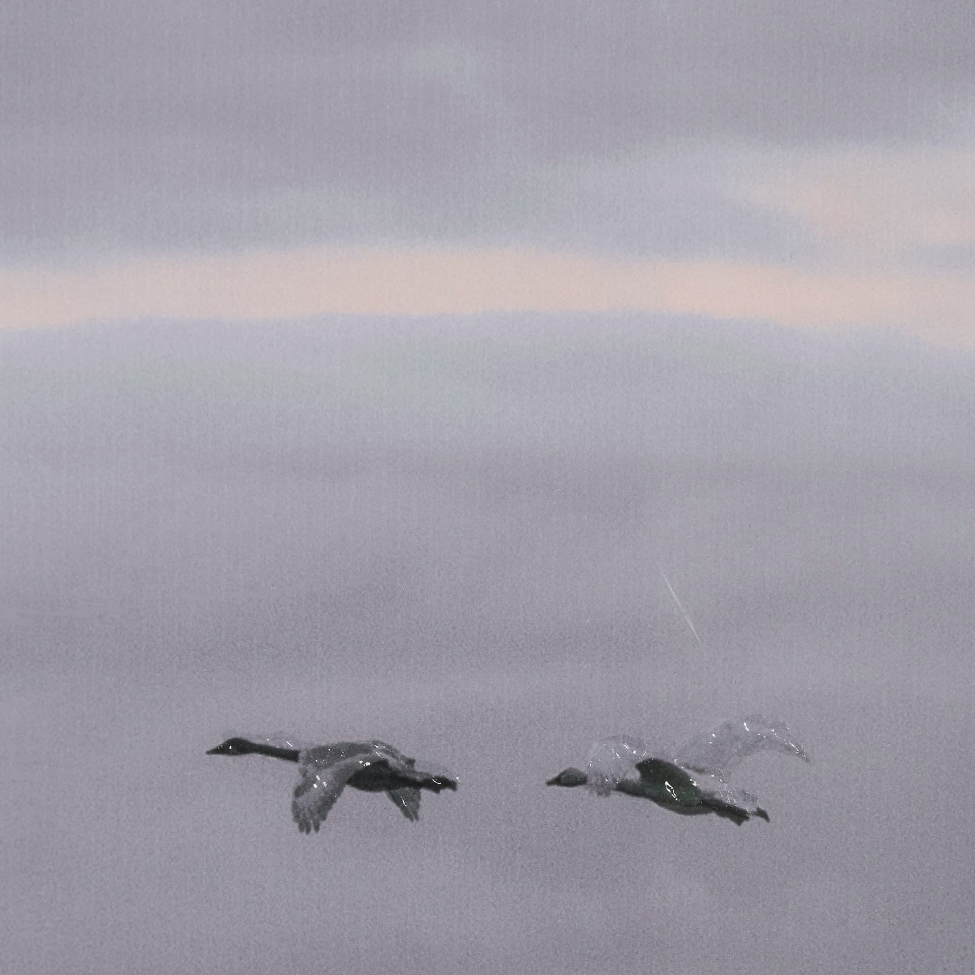 Cool Change by Nancy Crowell a Hand Embellished Framed Photo Art Print Matted under Glass — product photograph
