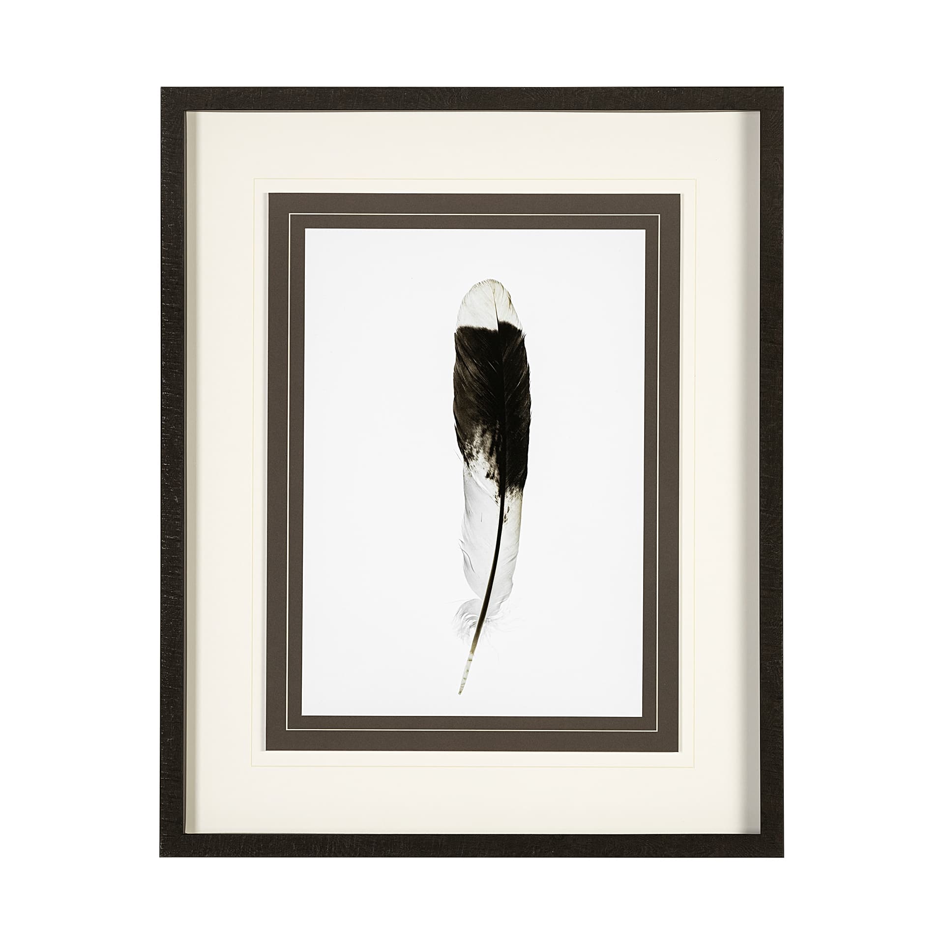 Flying solo by Nancy Crowell a Framed Art Print Matted under Glass — product photograph