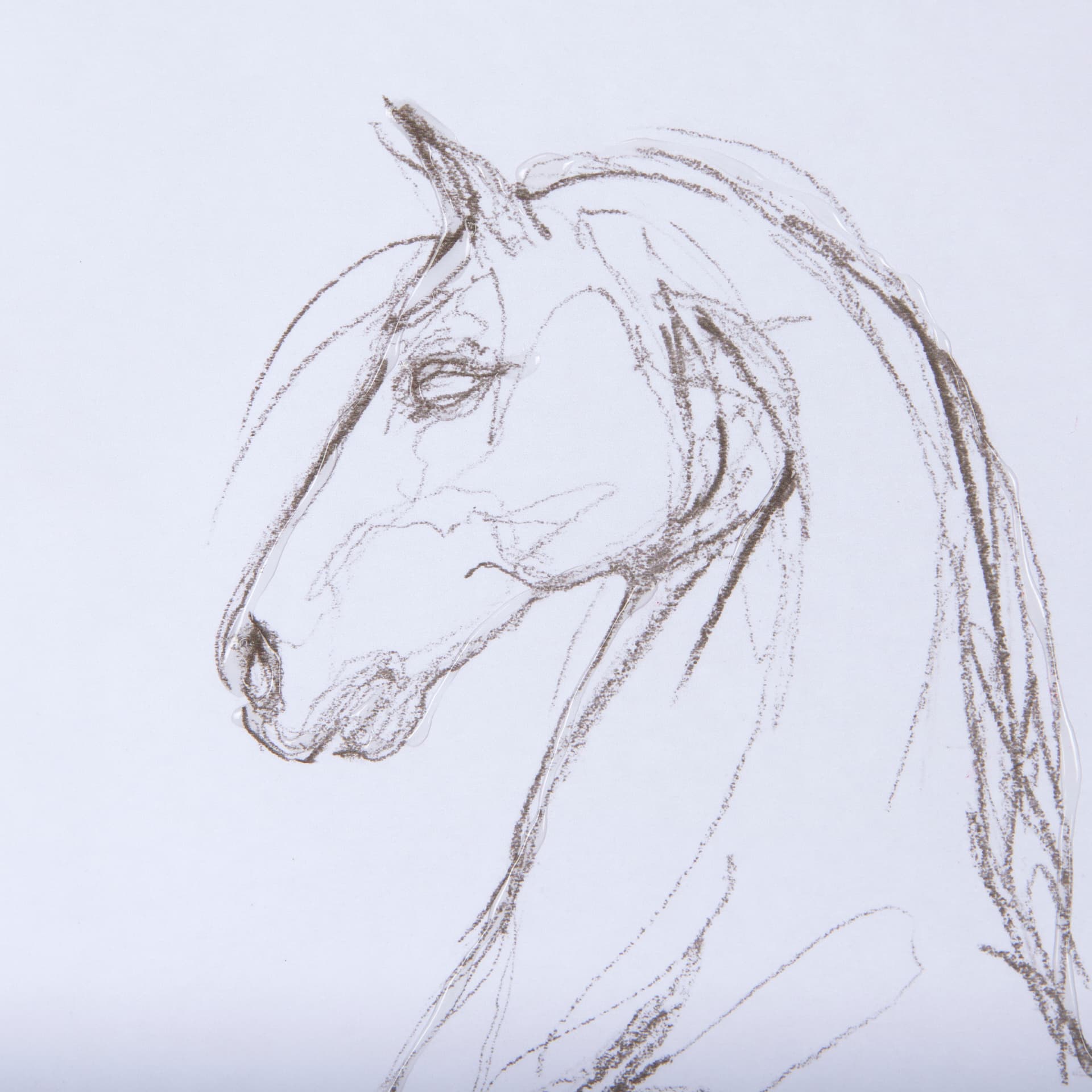 Horse II by Mercana Studio a Hand Embellished Textured Framed Art Print Matted under Glass — product photograph