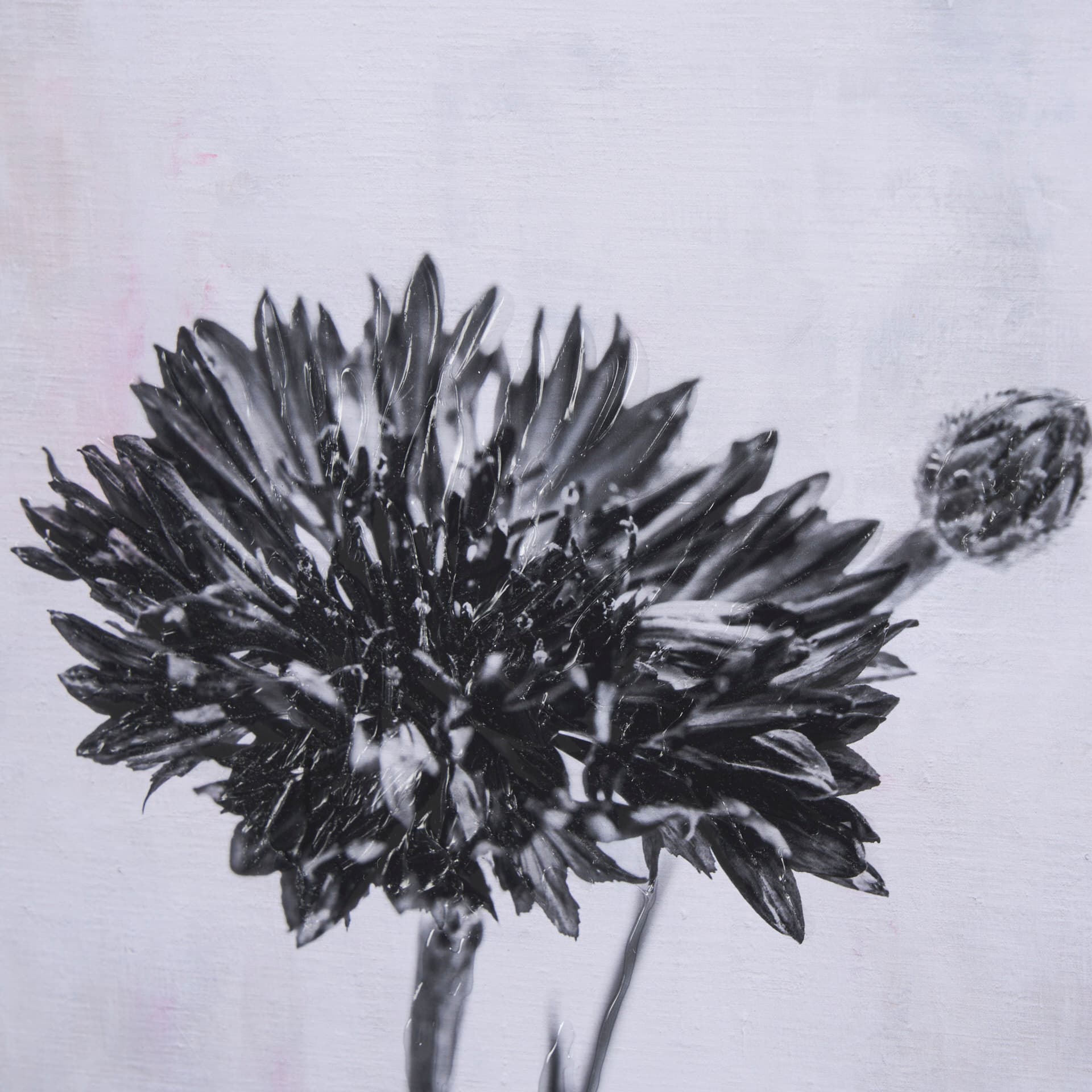 Wonderful Wildflowers XIV Neutral by Deborah Revell a Hand Embellished Framed Art Print Matted under — product photograph