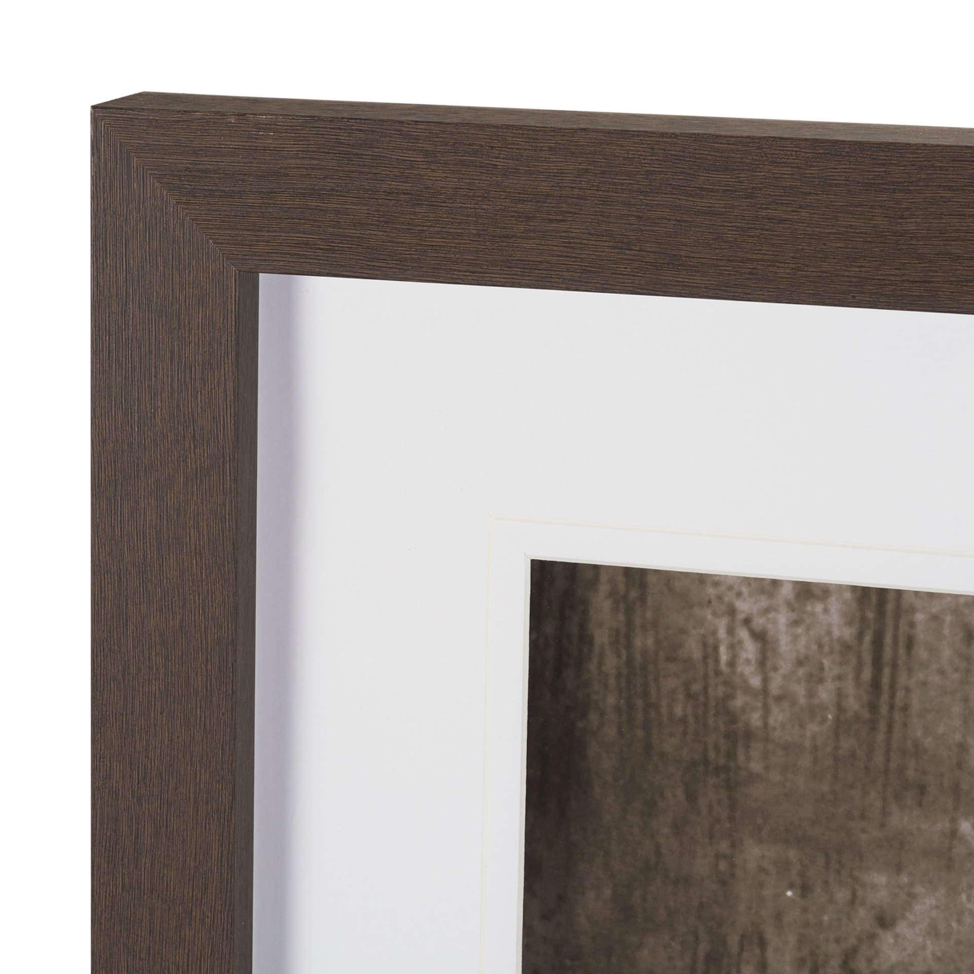 We See You Dogs by Jim Dratfield Framed Photo Print under Glass — product photograph